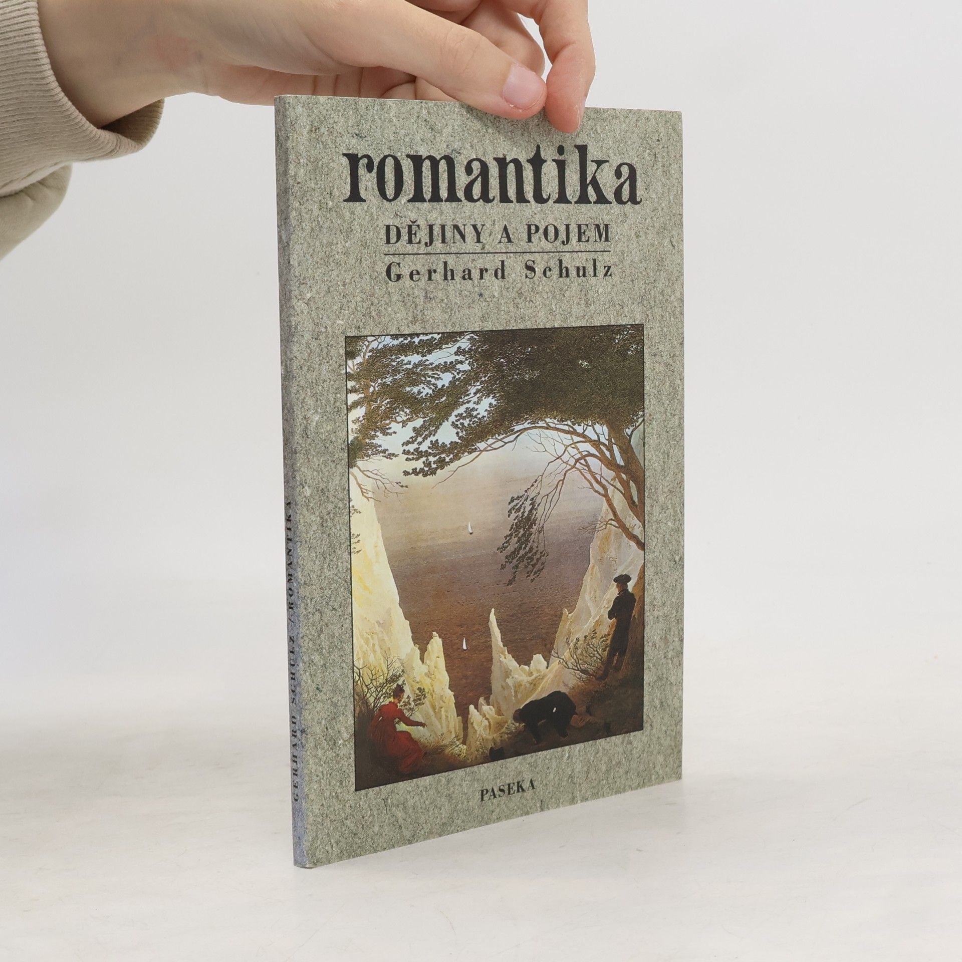 Gerhard Schulz Romantika. Dějiny a pojem