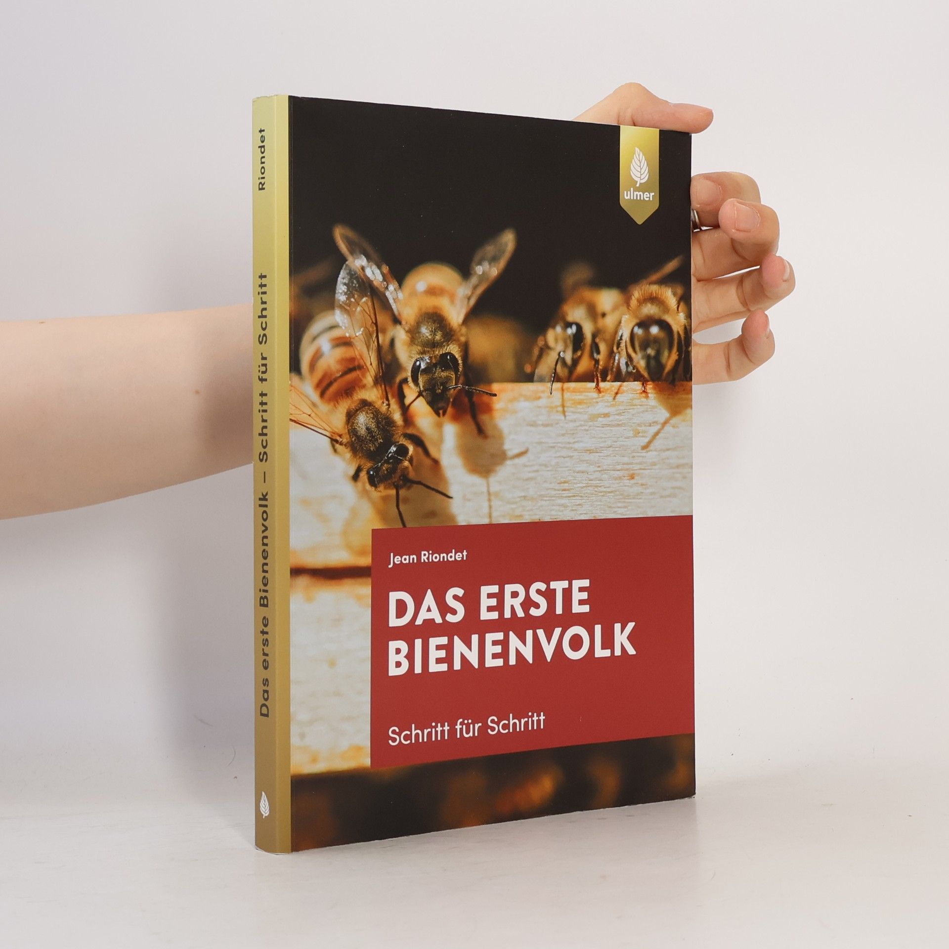 Das erste Bienenvolk – Schritt für Schritt