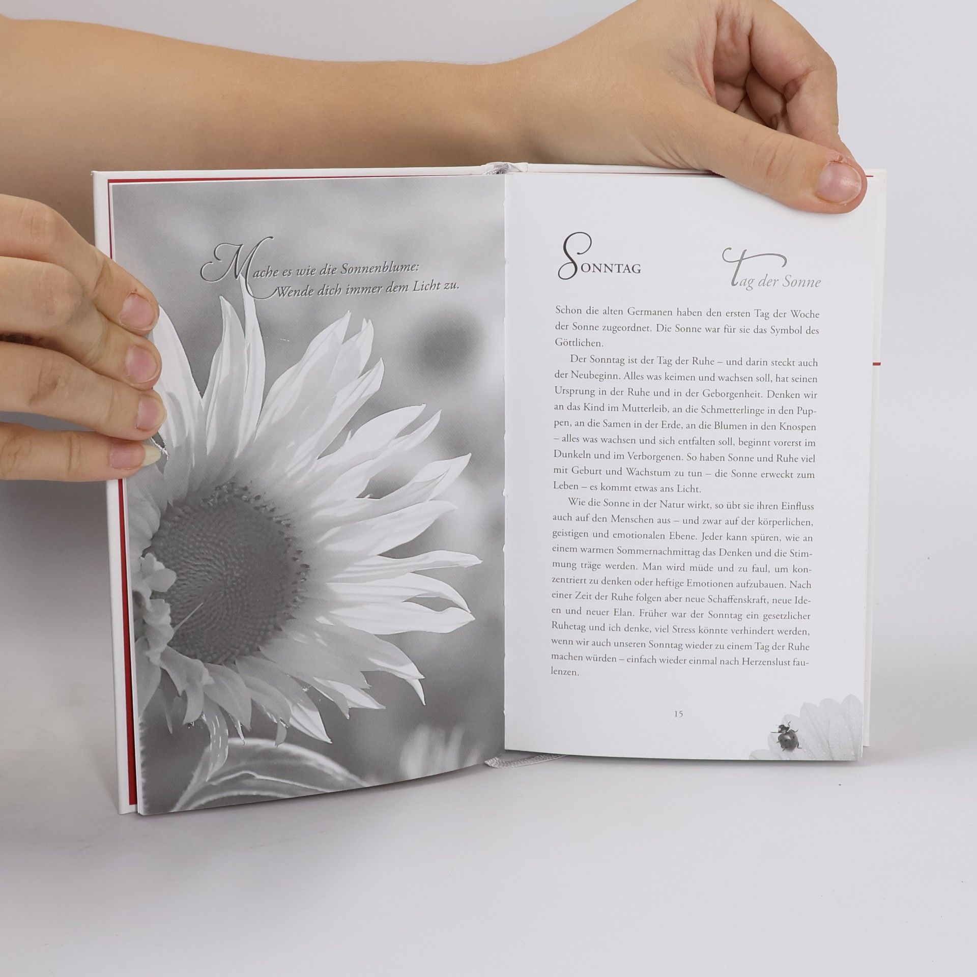 Gertrud Hirschi Yoga 7 x 7 Minuten
