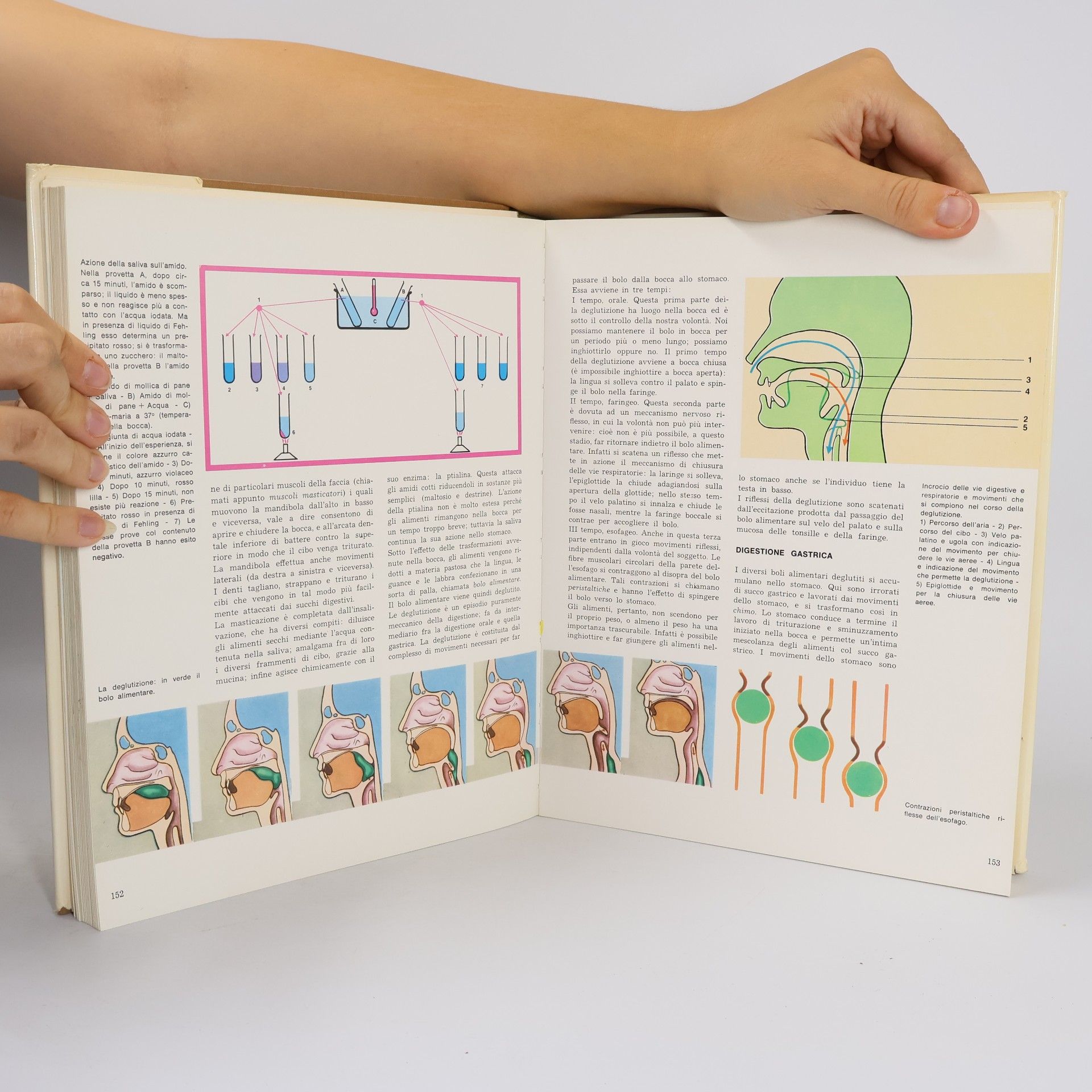 Dr. F. Beer-Poitevin Enciclopedia medica 1