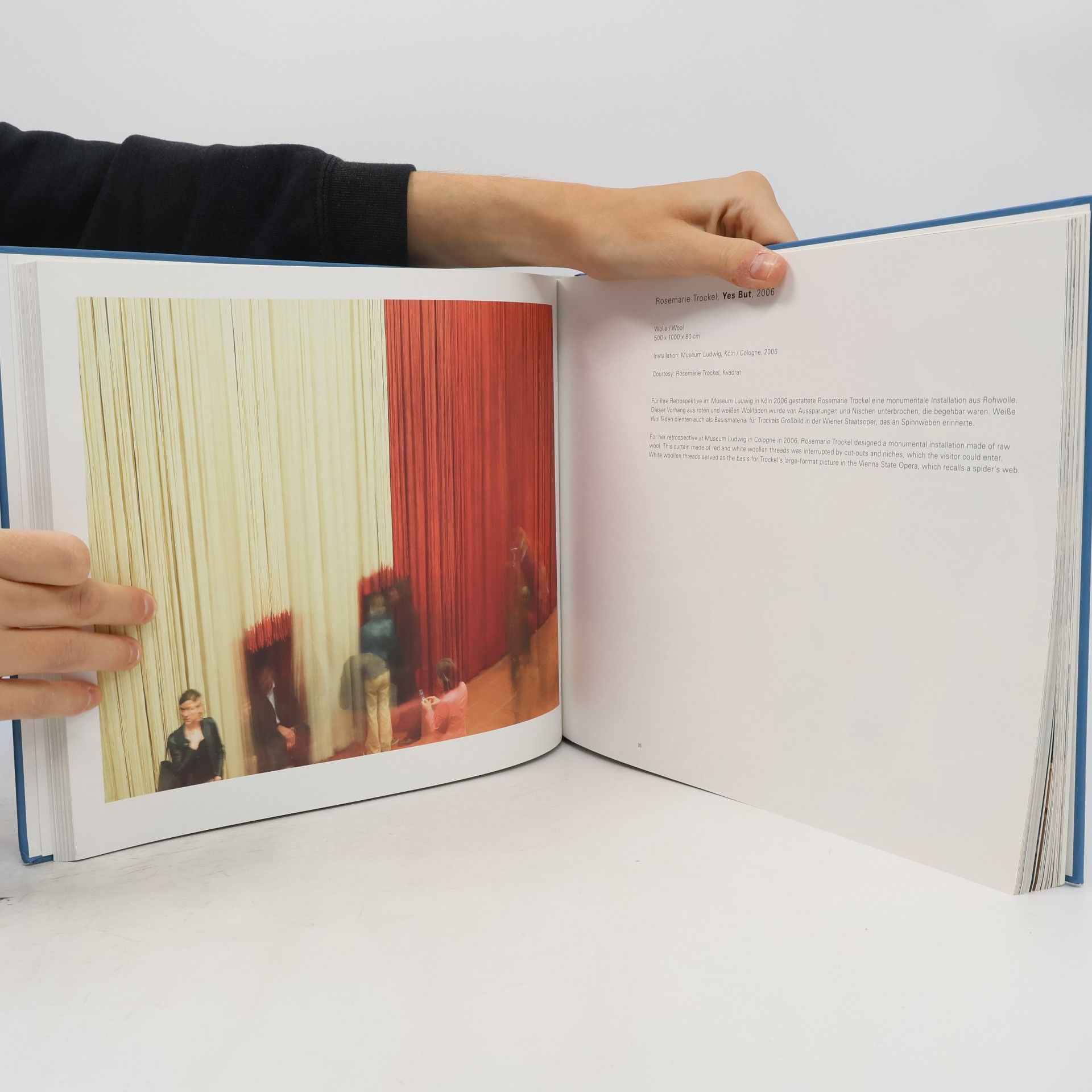 Daniel Birnbaum Curtain - Vorhang
