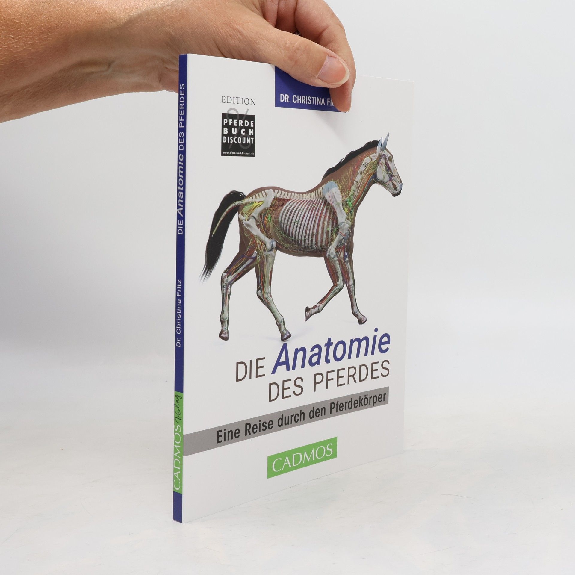 Die Anatomie des Pferdes