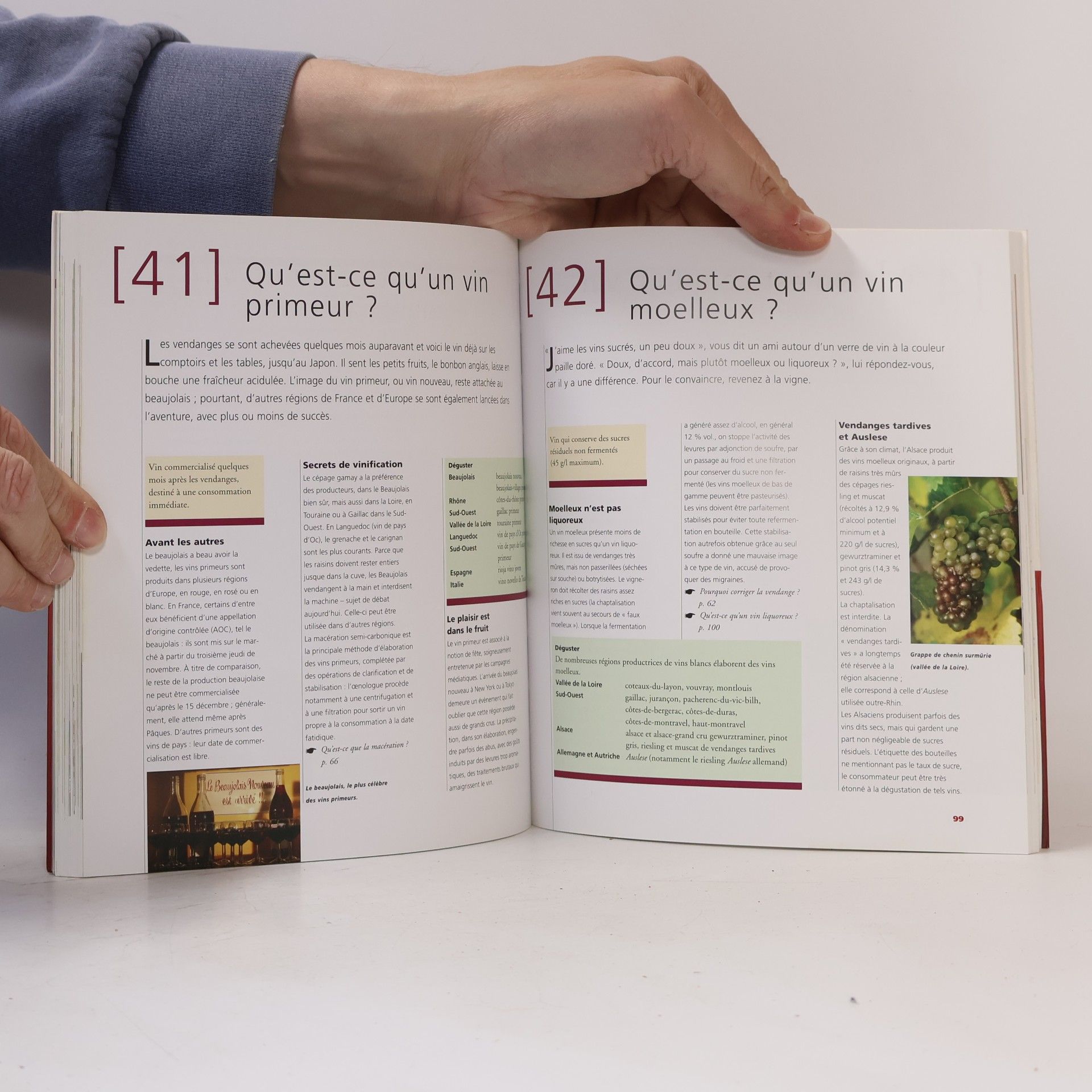 Pierre Casamayor Les Livrets du Vin: Le vin en 80 questions