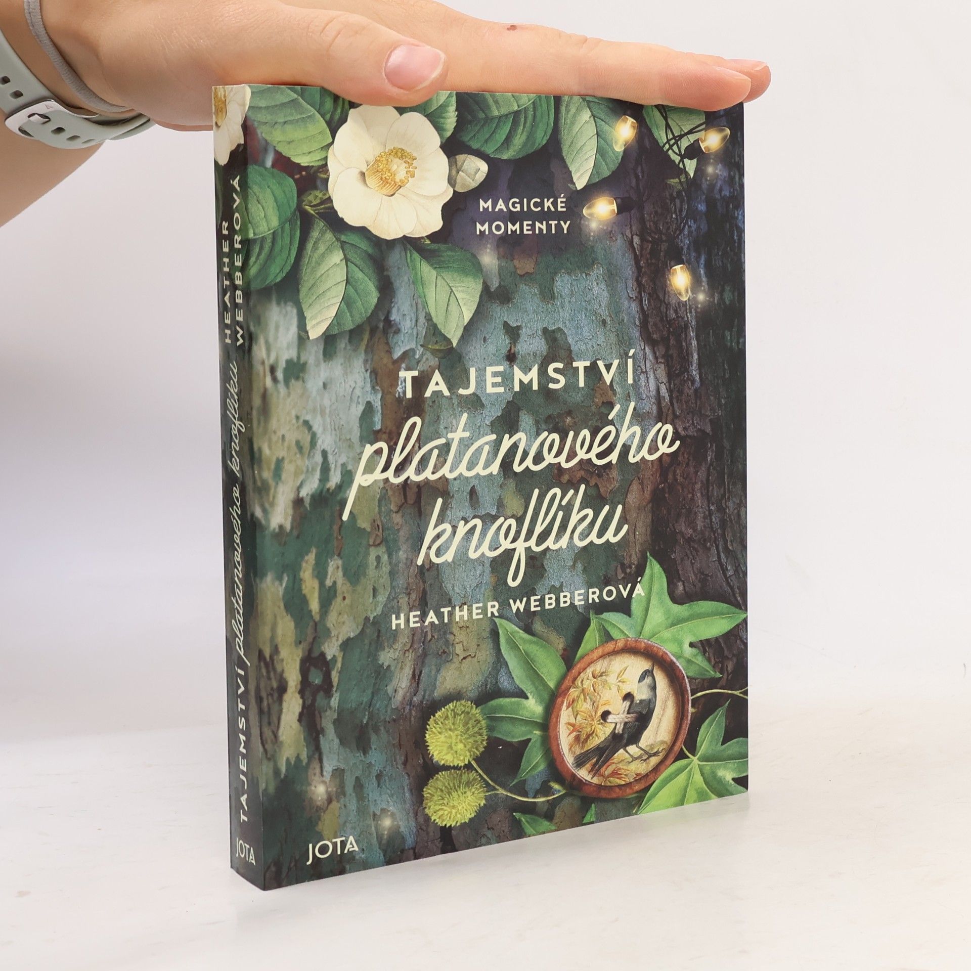 Heather Webber Tajemství platanového knoflíku
