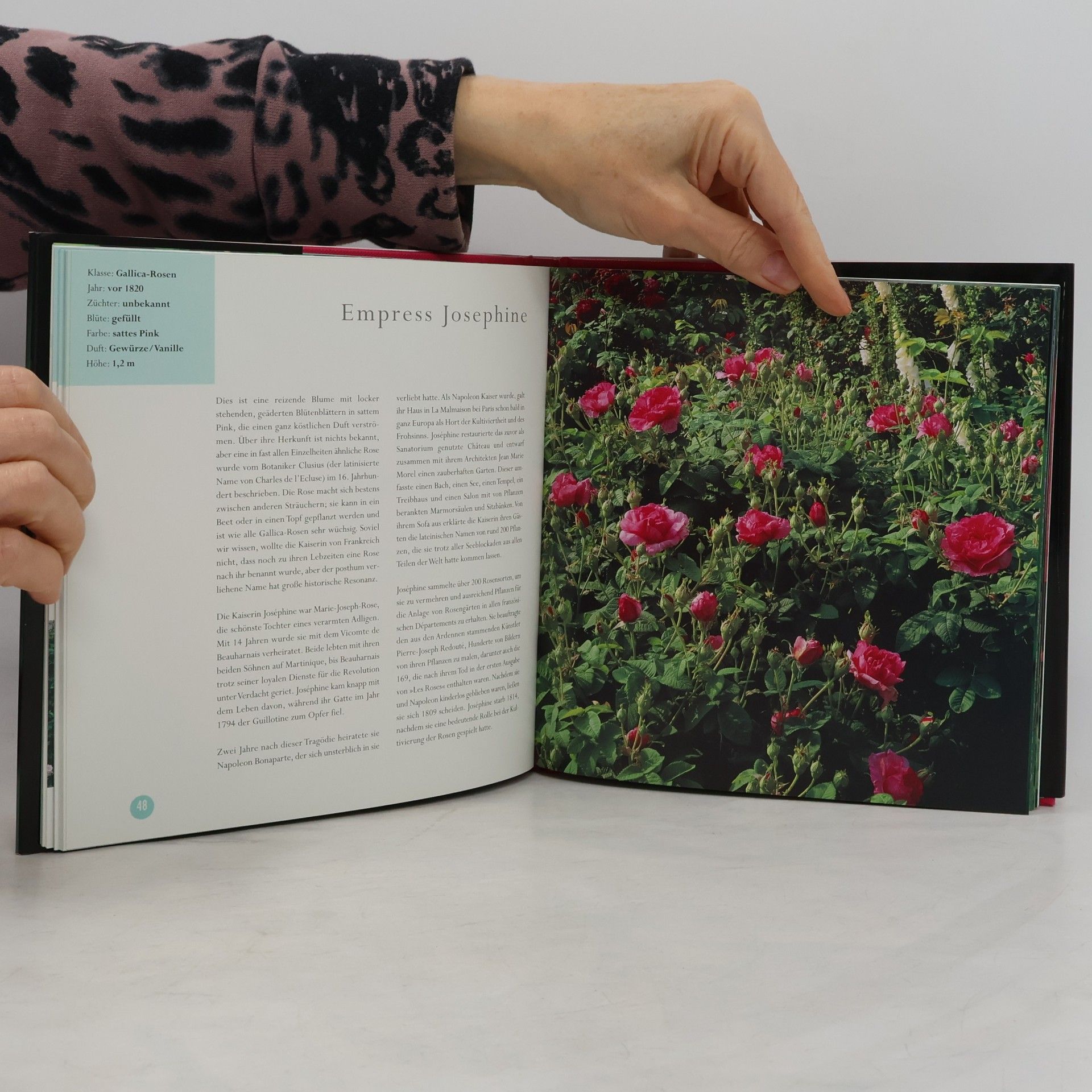 Graham Murphy Die schönsten alten Rosen