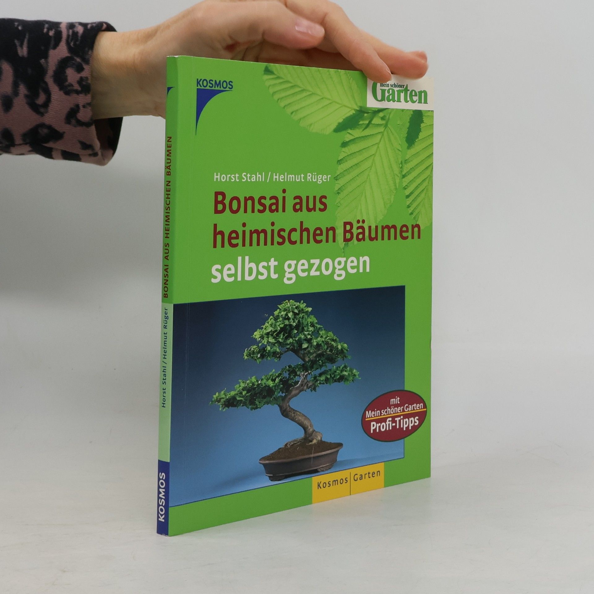Bonsai aus heimischen Bäumen selbst gezogen