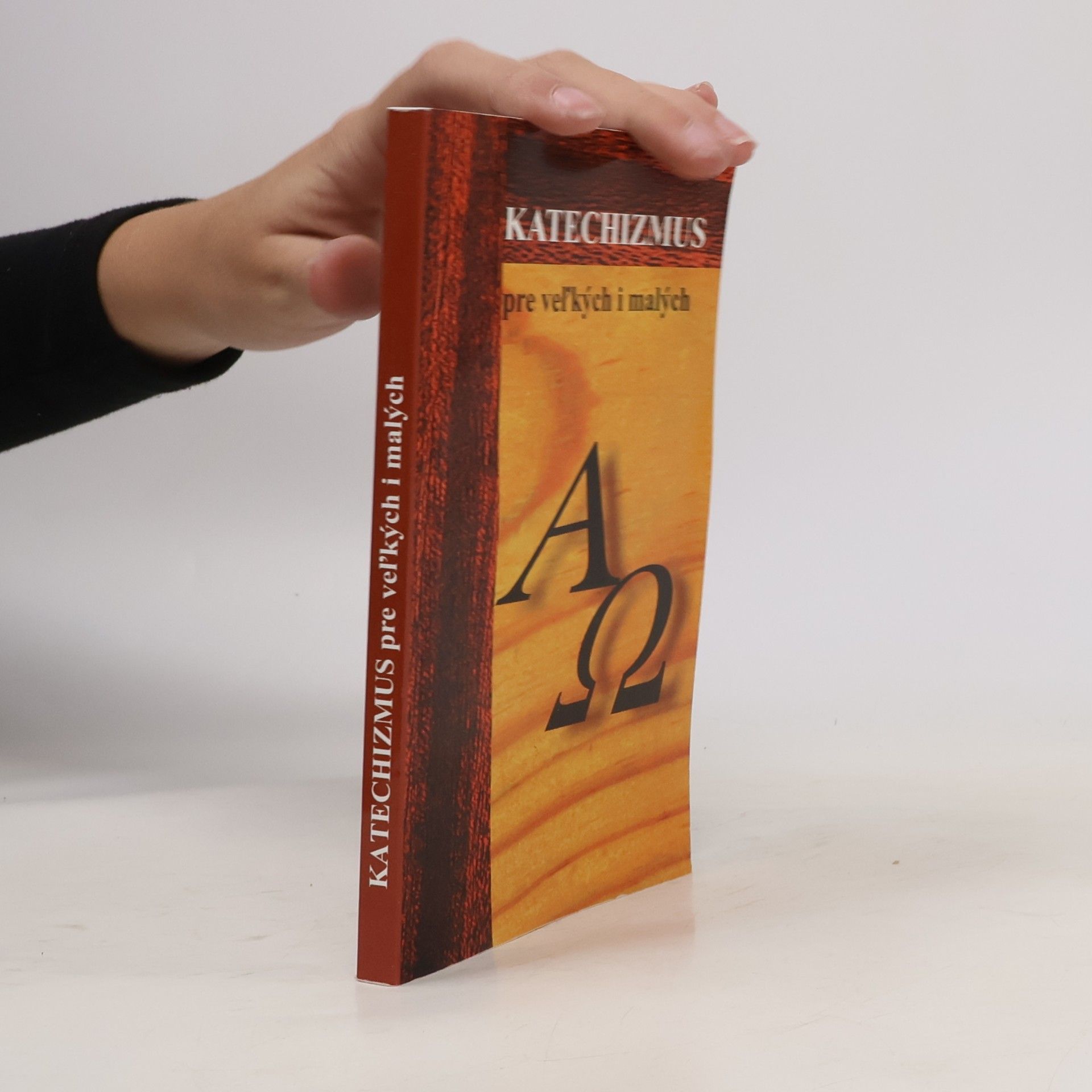 Various authors Katechizmus pre veľkých i malých