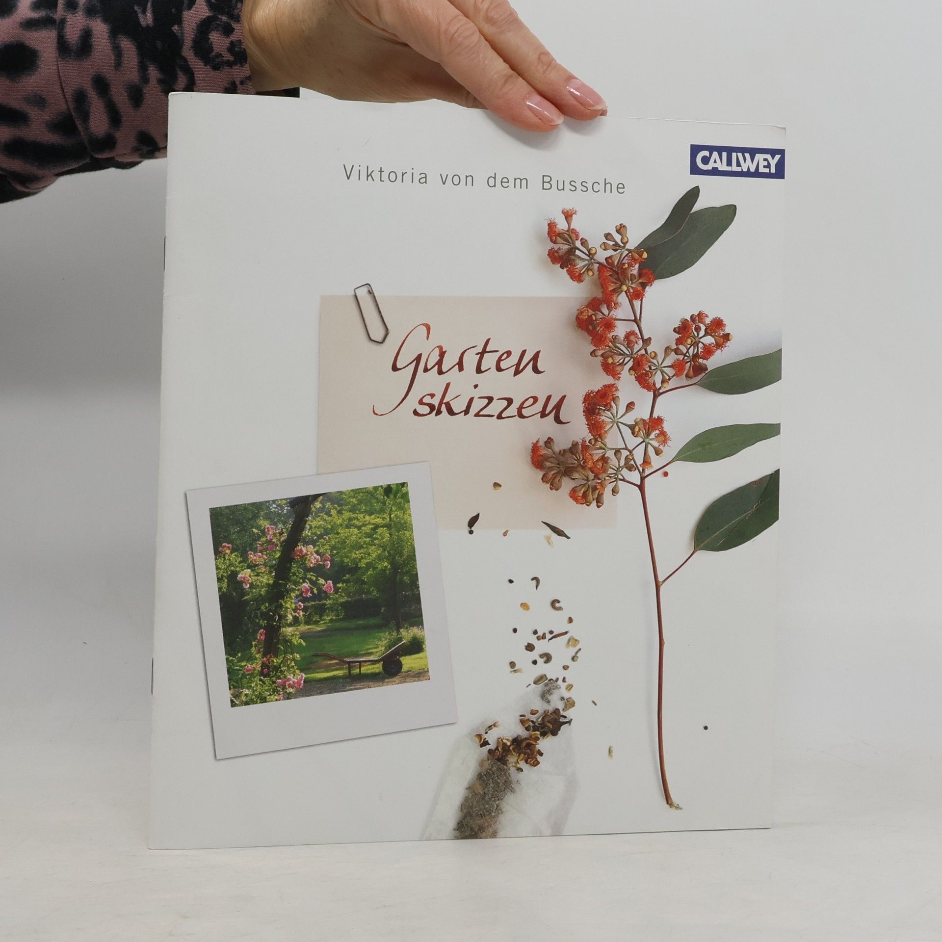 Viktoria Bussche Gartenskizzen