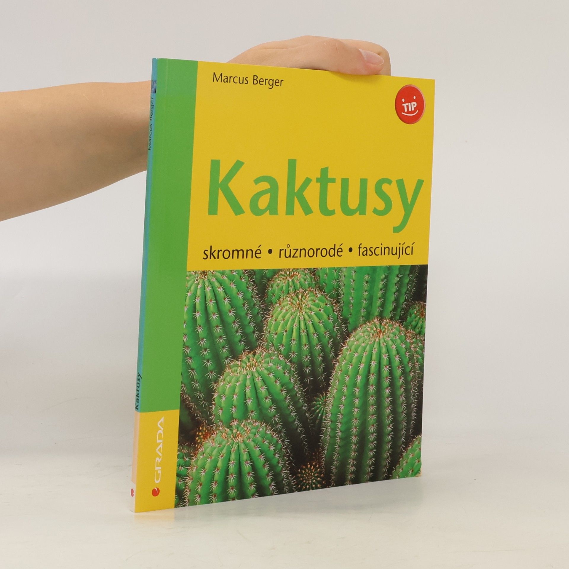 Kaktusy