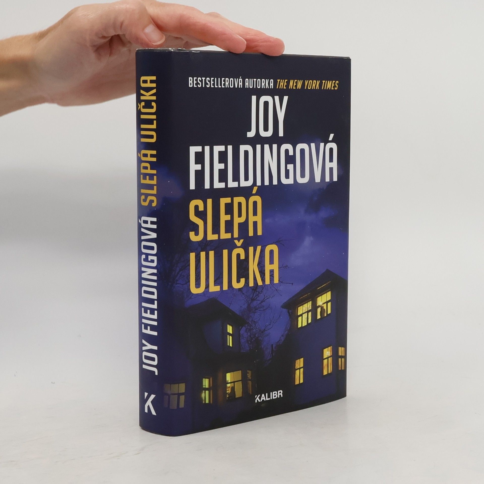 Joy Fielding Slepá ulička