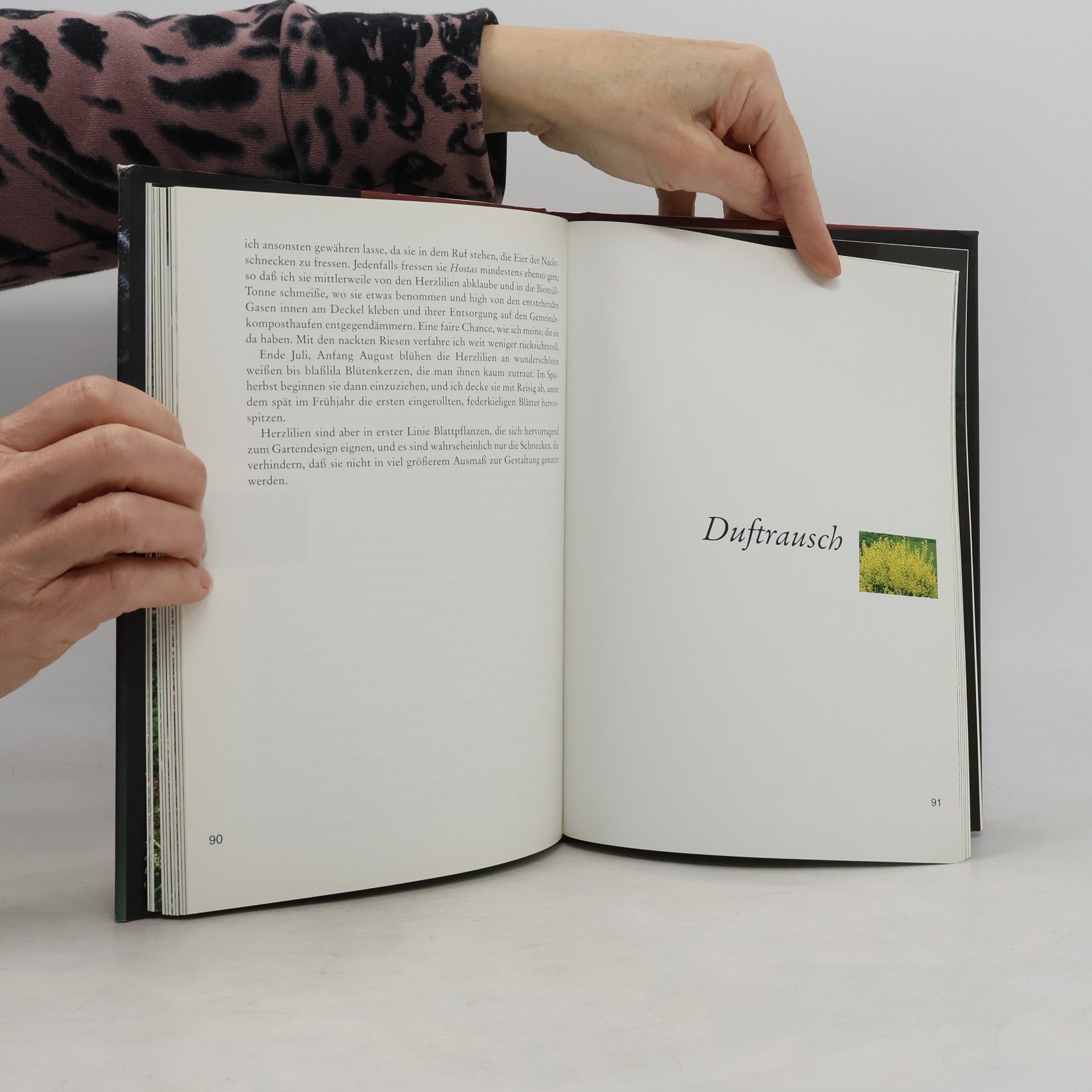 Barbara Frischmuth Fingerkraut und Feenhandschuh