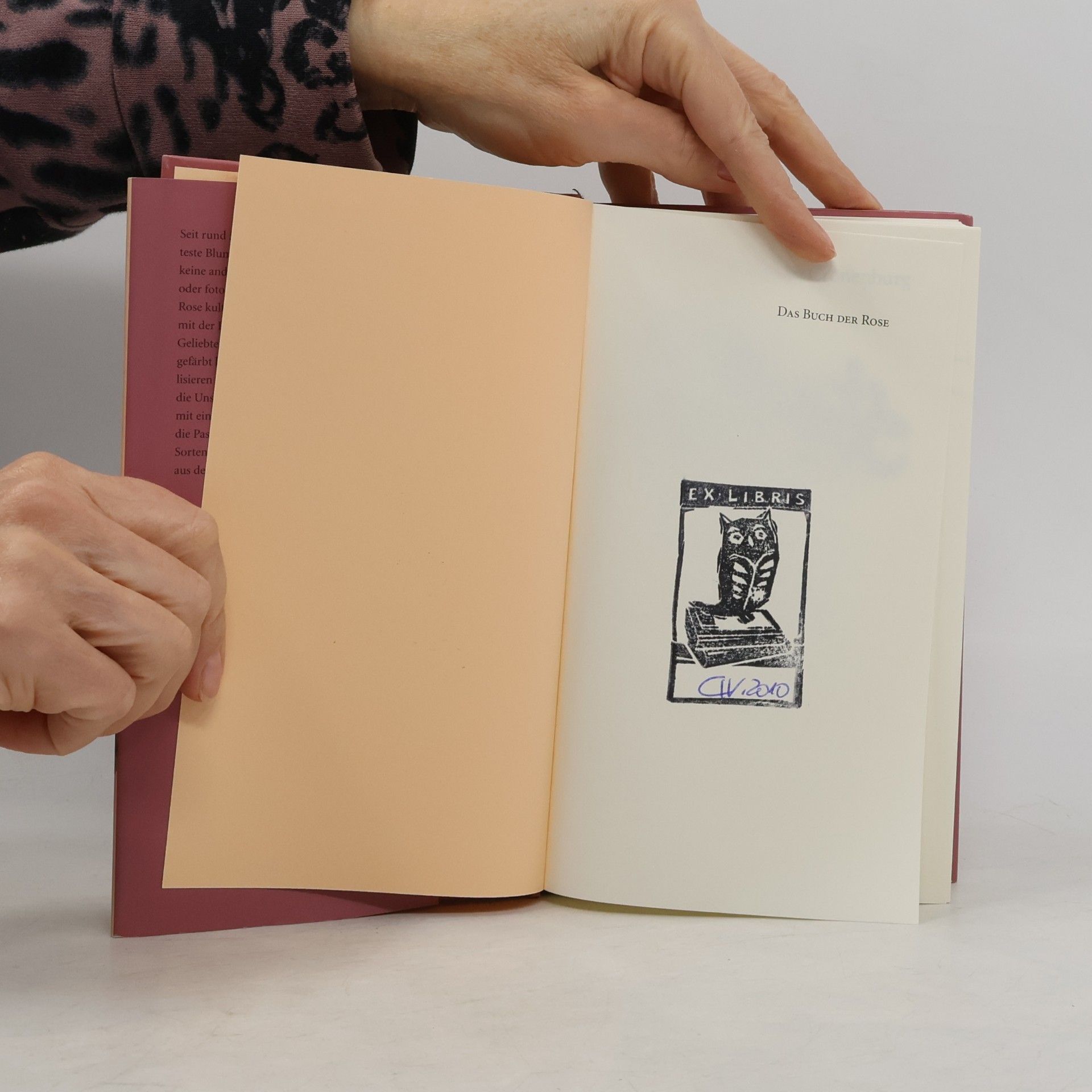 Petra van Cronenburg Das Buch der Rose