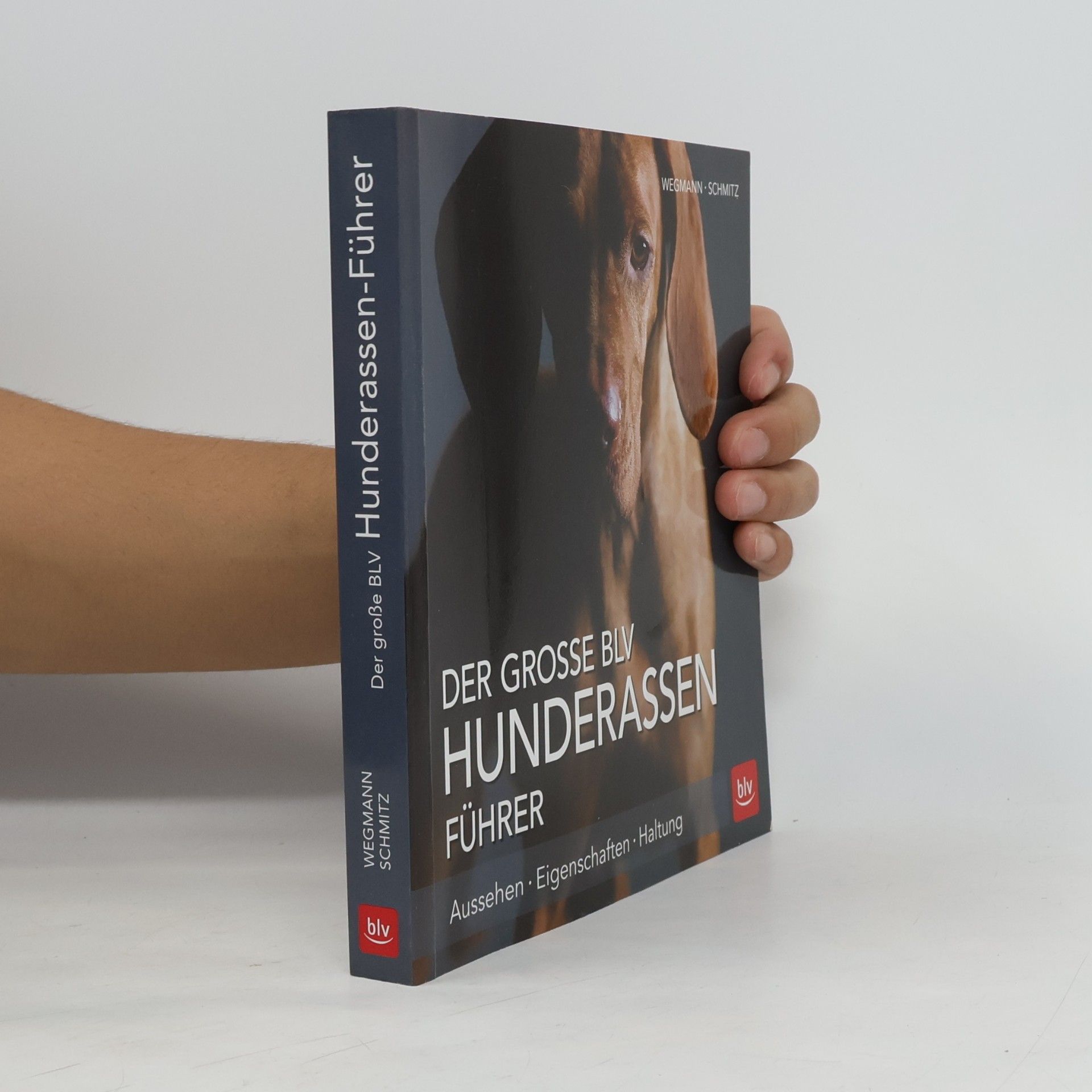 Der grosse BLV Hunderassen Führer