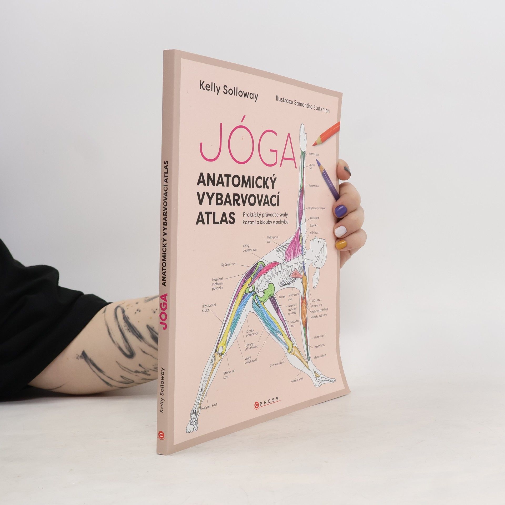 Jóga. Anatomický vybarvovací atlas. Praktický průvodce svaly, kostmi a klouby v pohybu