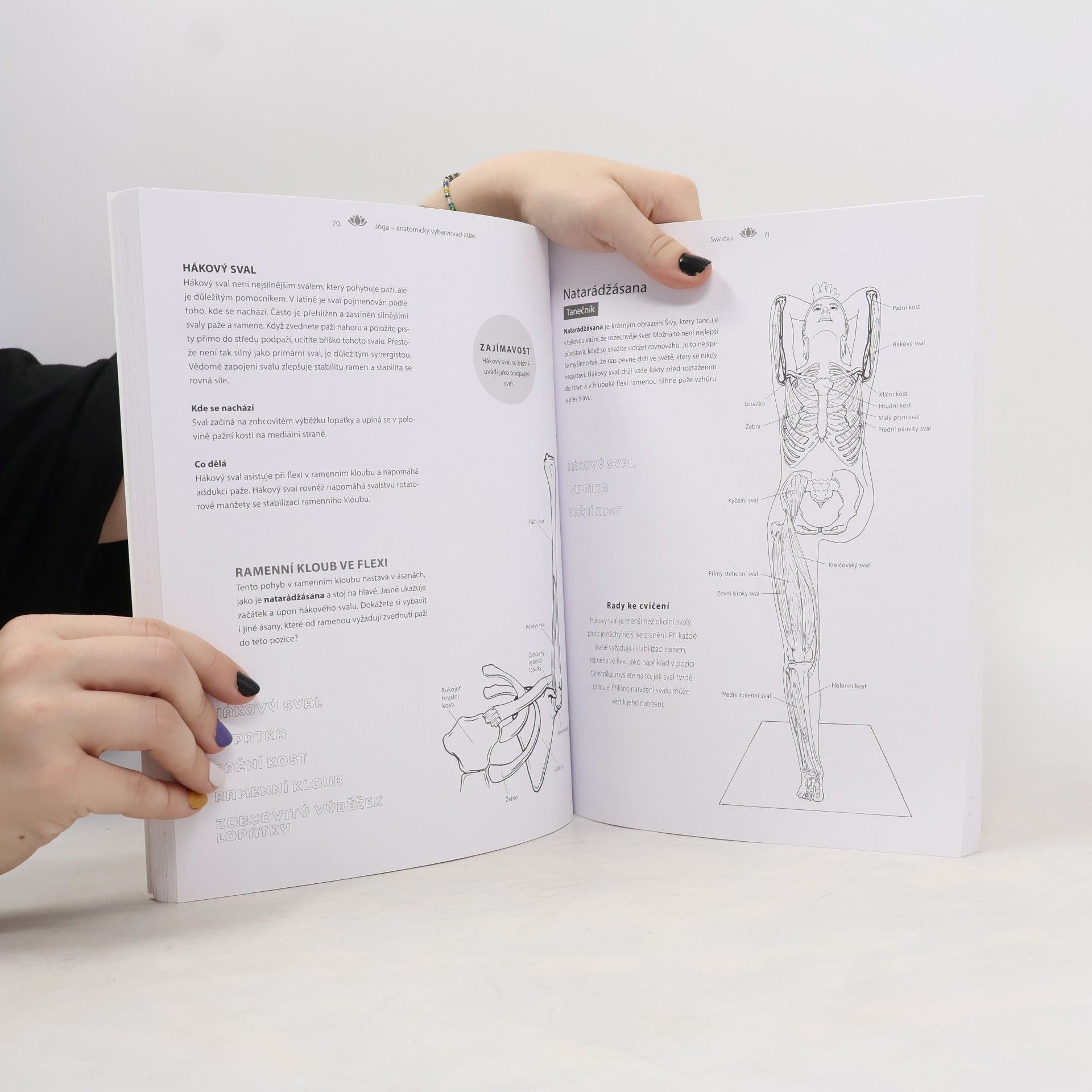 Kelly Solloway Jóga. Anatomický vybarvovací atlas. Praktický průvodce svaly, kostmi a klouby v pohybu