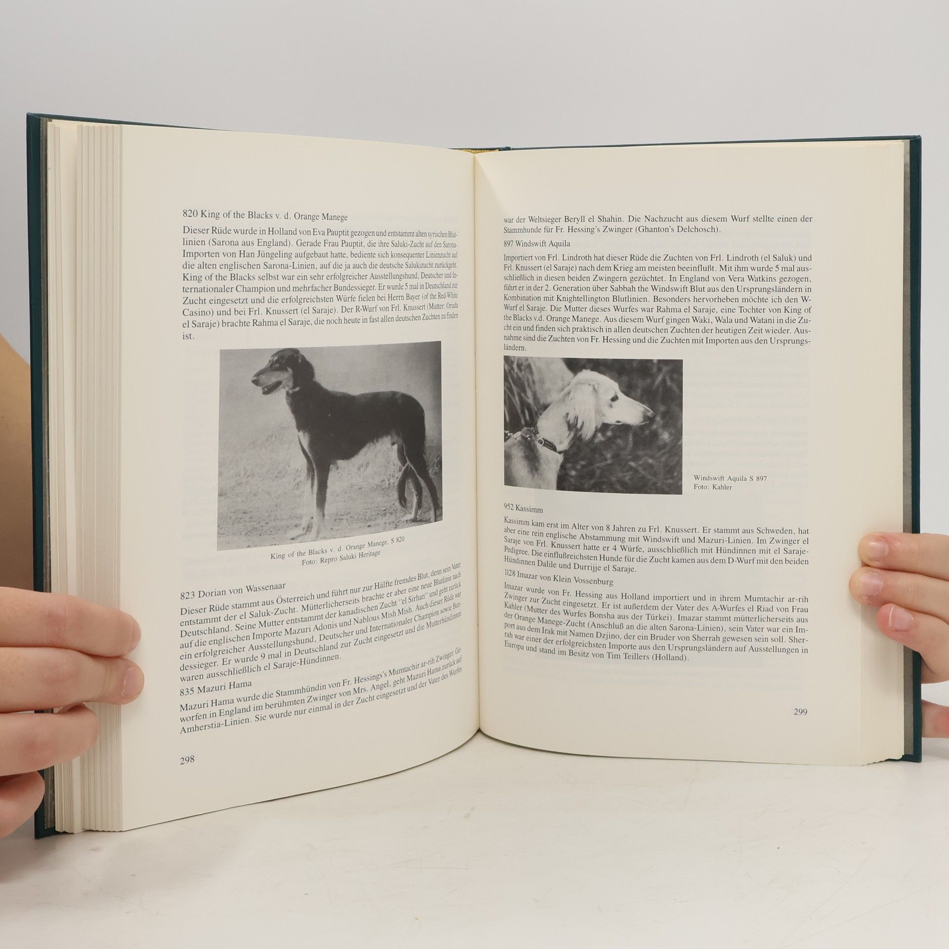 kolektiv Hundert Jahre Windhunde 1892-1992
