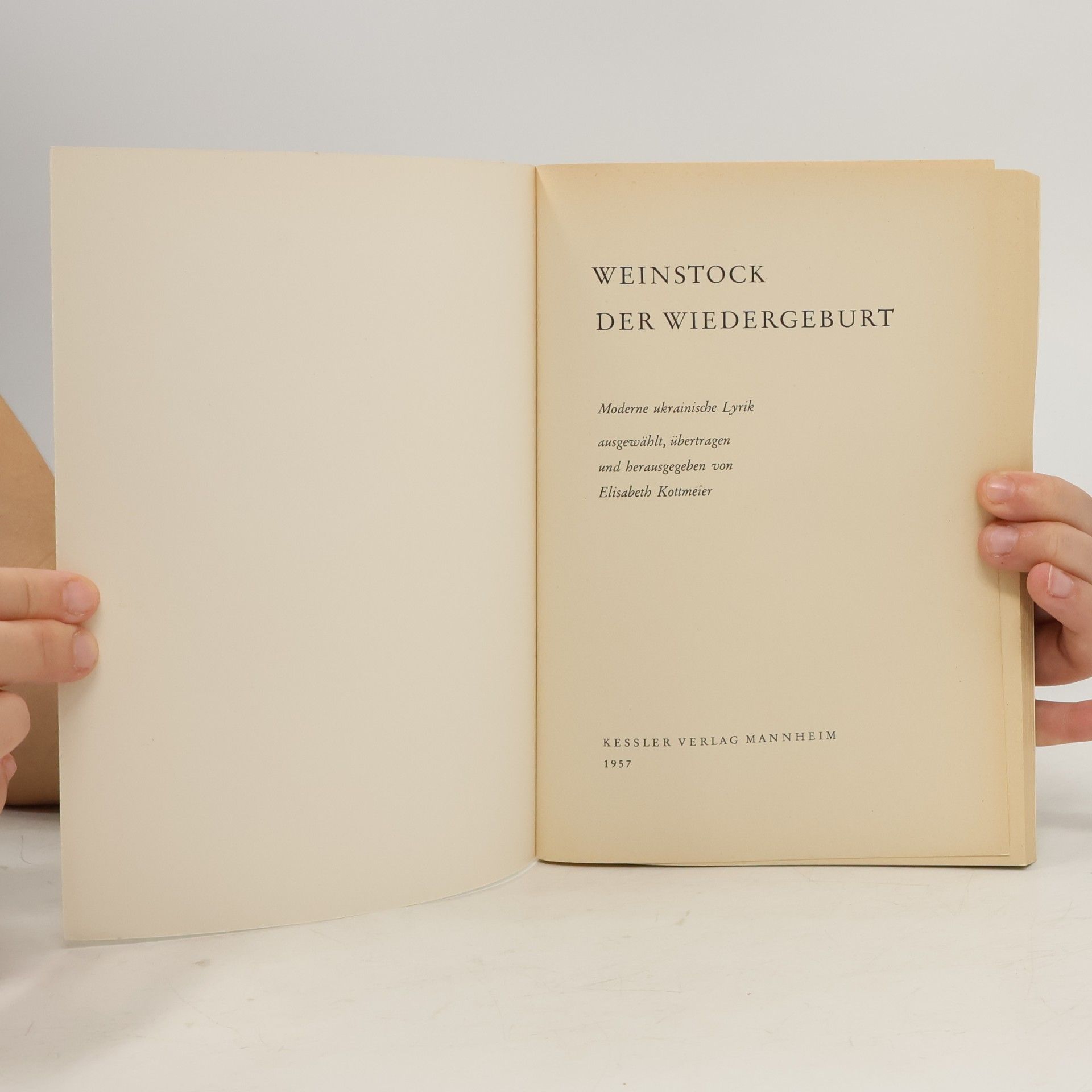 Elisabeth Kottmeier Weinstock der Wiedergeburt