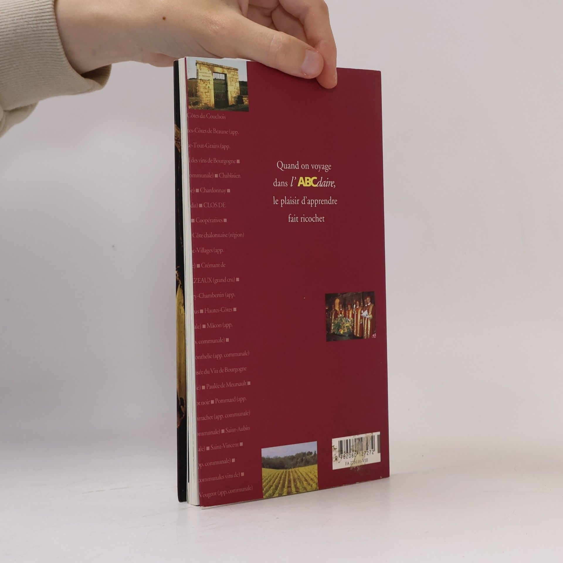 Christian Pessey L'ABCdaire des vins de Bourgogne