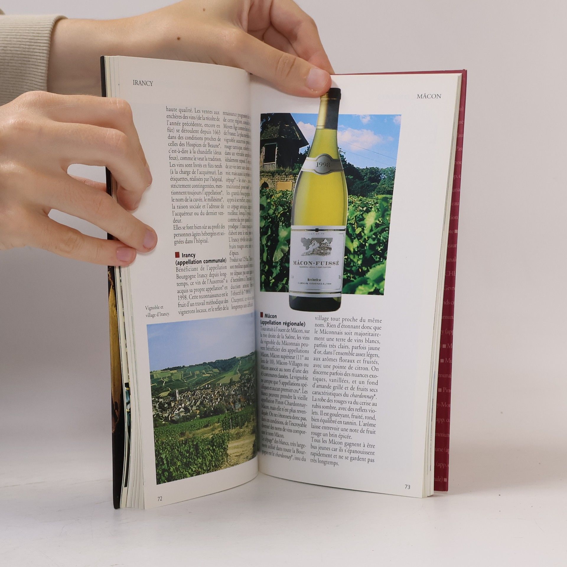 Christian Pessey L'ABCdaire des vins de Bourgogne