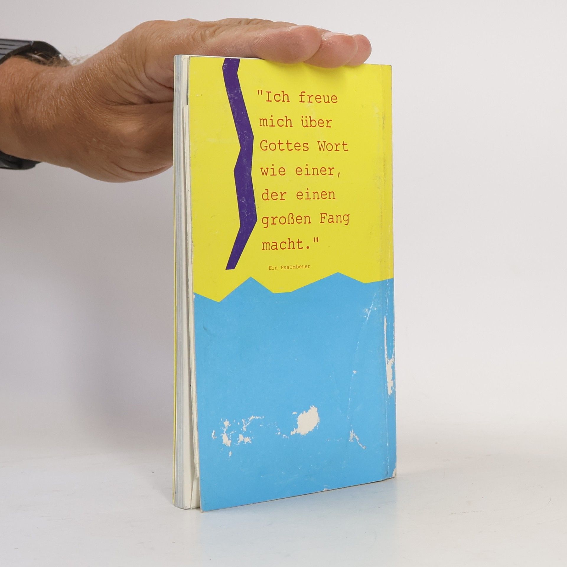 Die ersten 100 Tage mit der Bibel