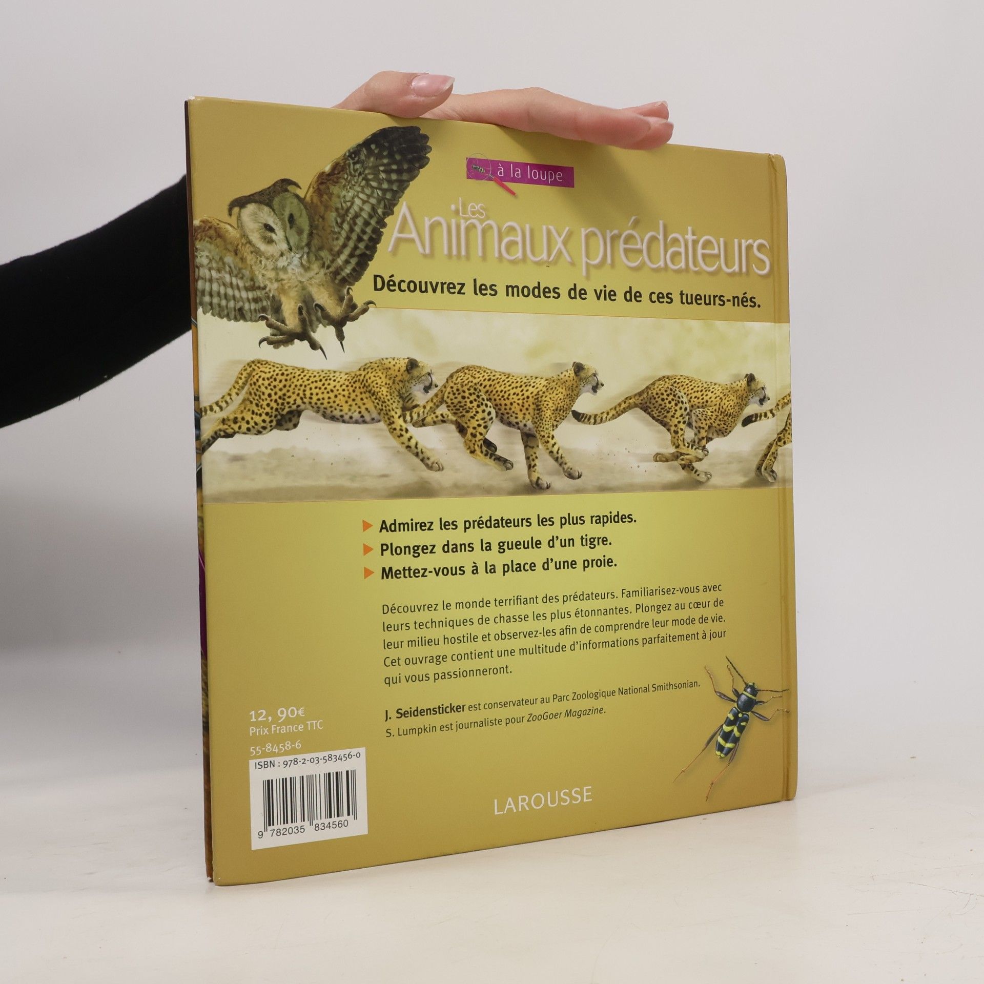 Various Les Animaux predateurs