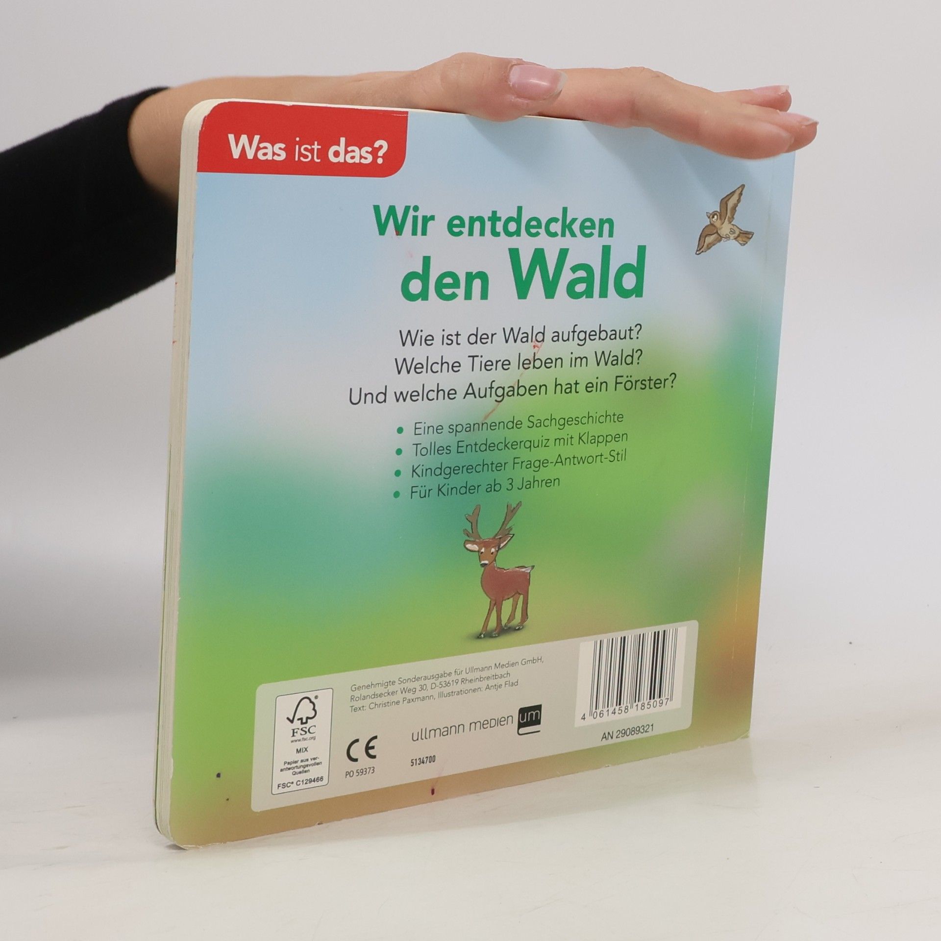 Autorenkollektiv Wir entdecken den Wald