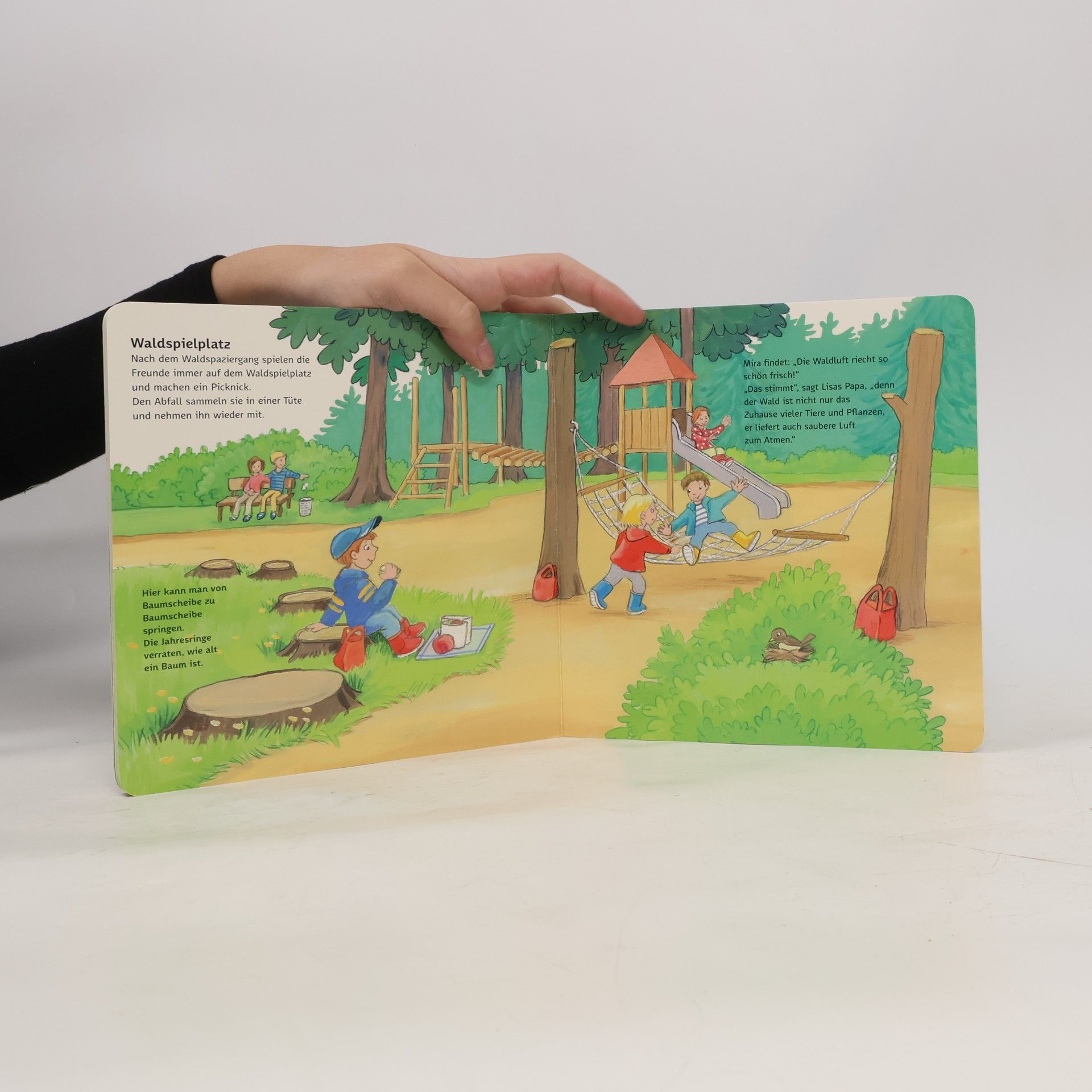 Autorenkollektiv Wir entdecken den Wald