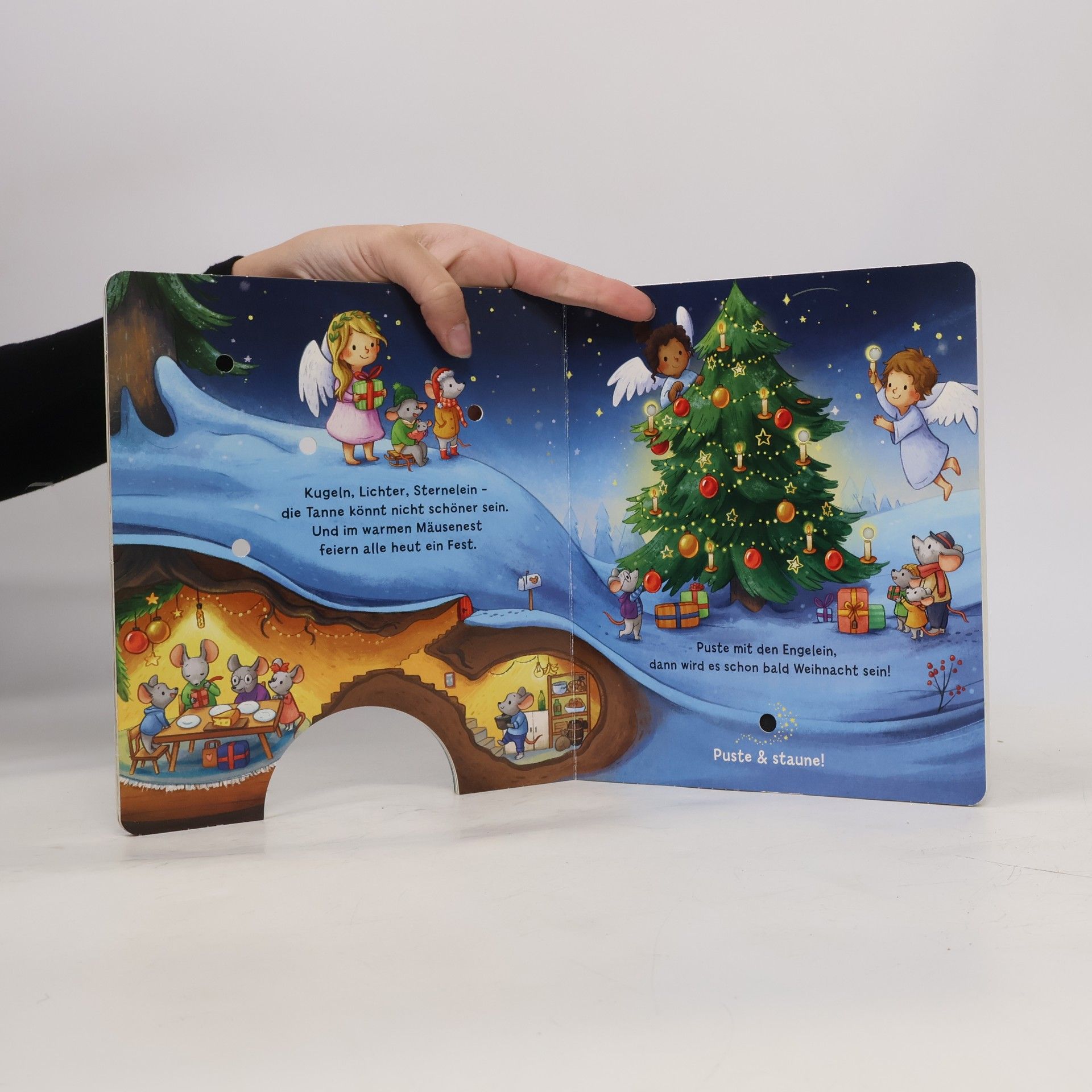 Christina Nömer Mein Puste-Licht-Buch: Es wird Weihnachten, kleine Maus