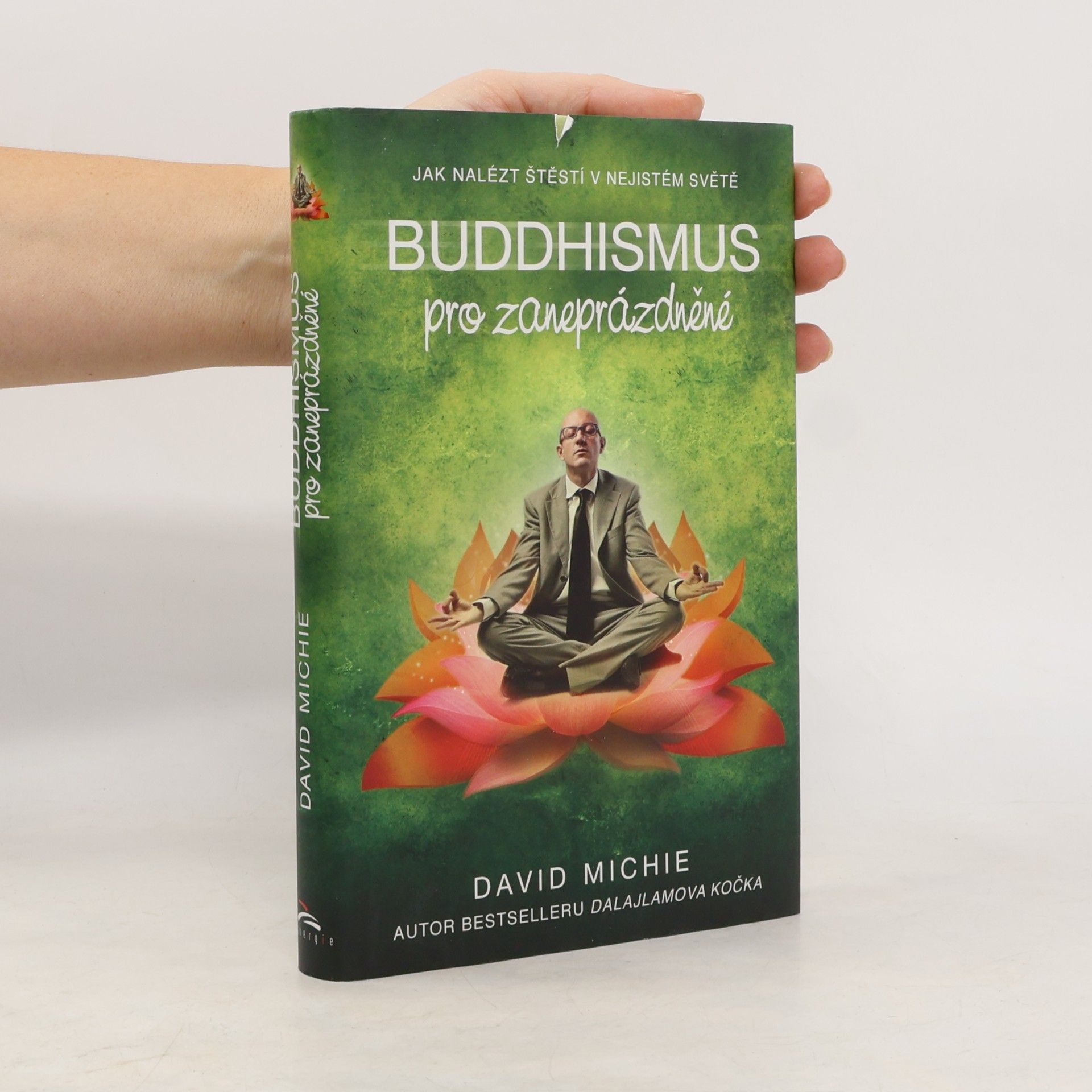 David Michie Buddhismus pro zaneprázdněné