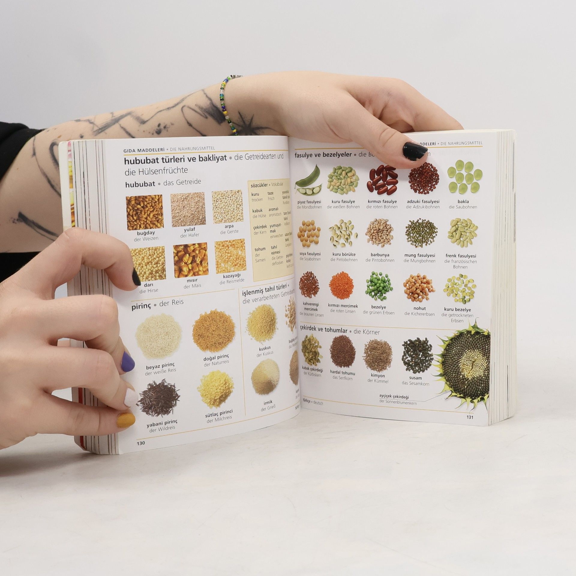 Özgür Savaşçı Visuelles Wörterbuch Türkisch-Deutsch