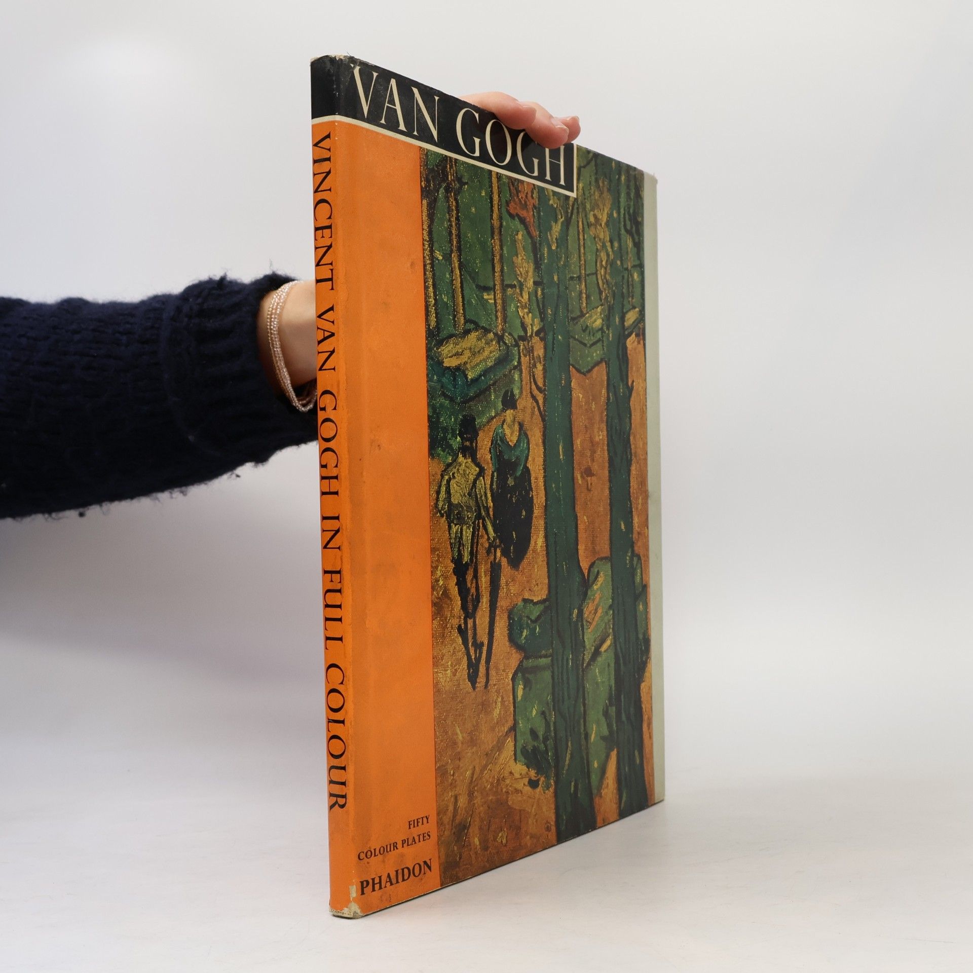 Kolektiv autorů Van Gogh