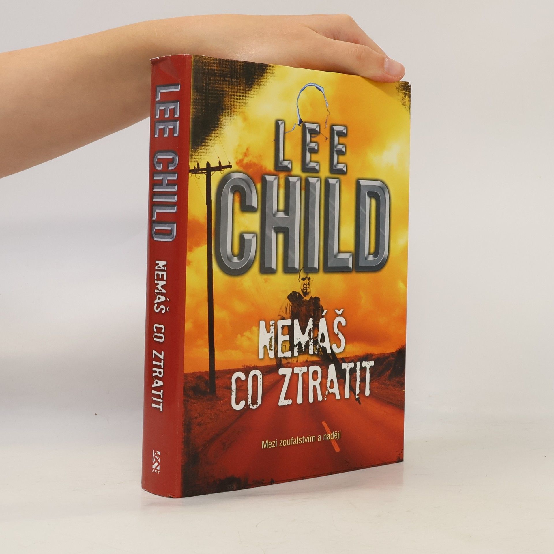 Lee Child Nemáš co ztratit