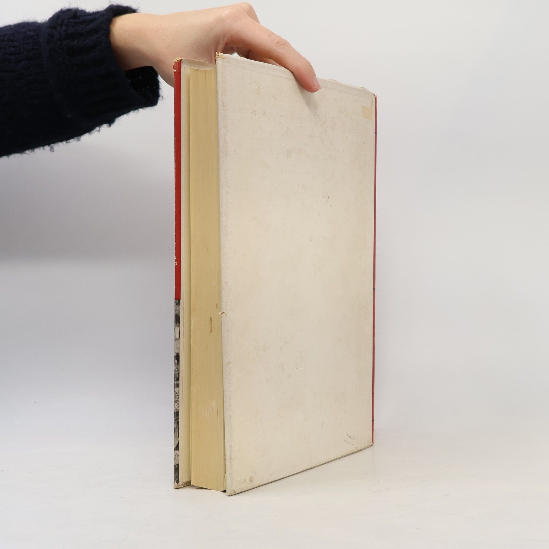 Autorenkollektiv Die Kultur der Renaissance in Italien