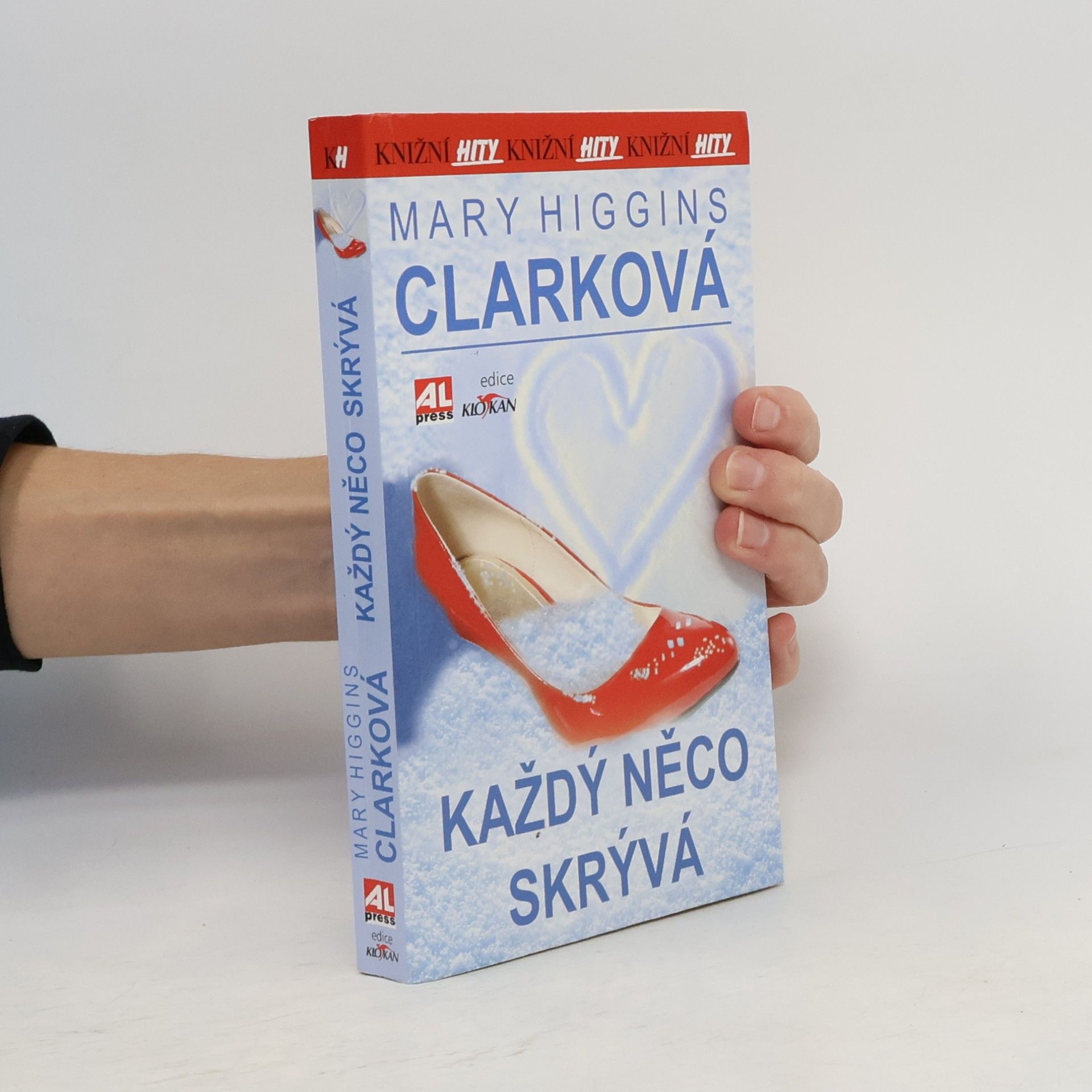 Mary Higgins Clark Každý něco skrývá