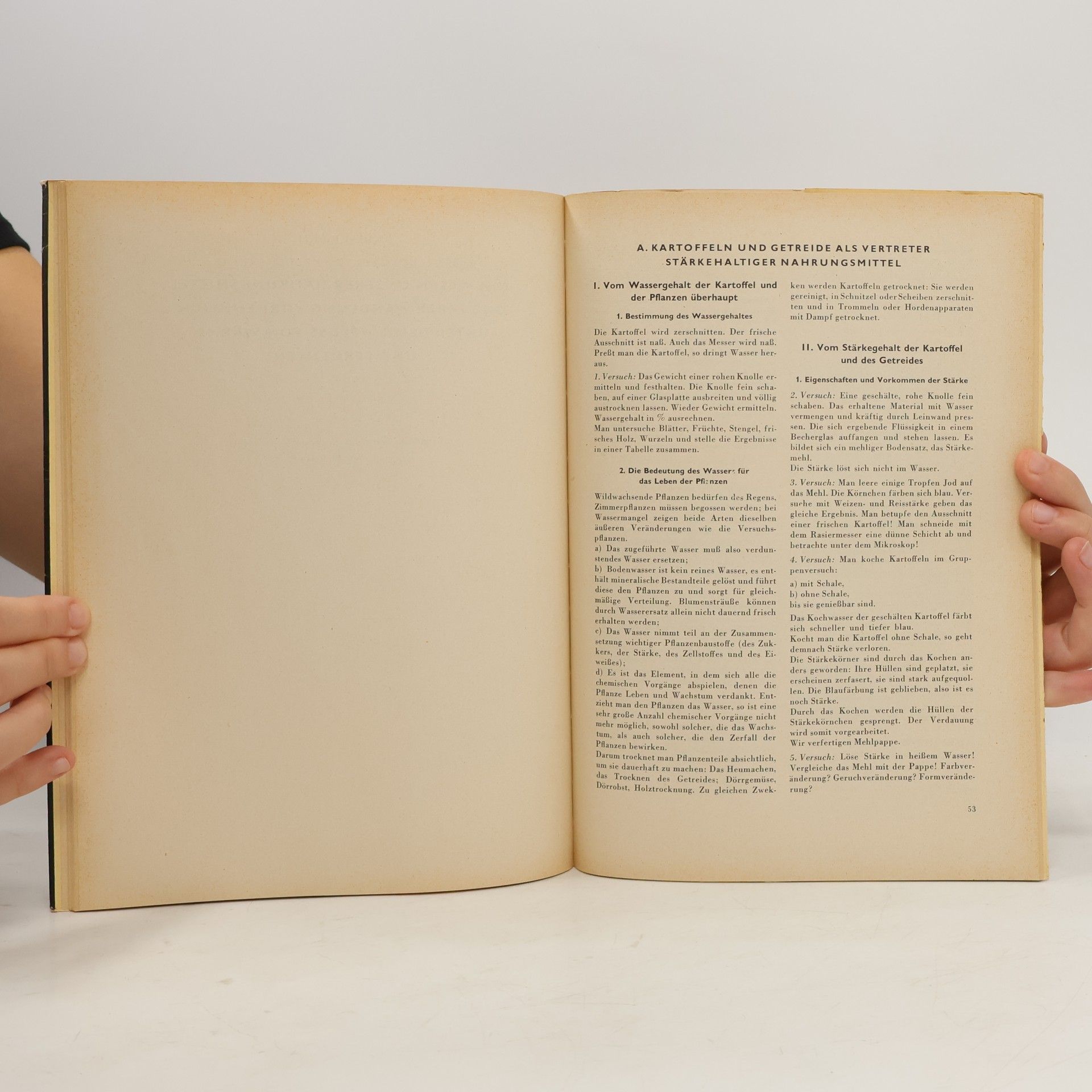 Franz Müller Elektrizität / Vom Wesen unserer Nährstoffe / Die Fäulnis