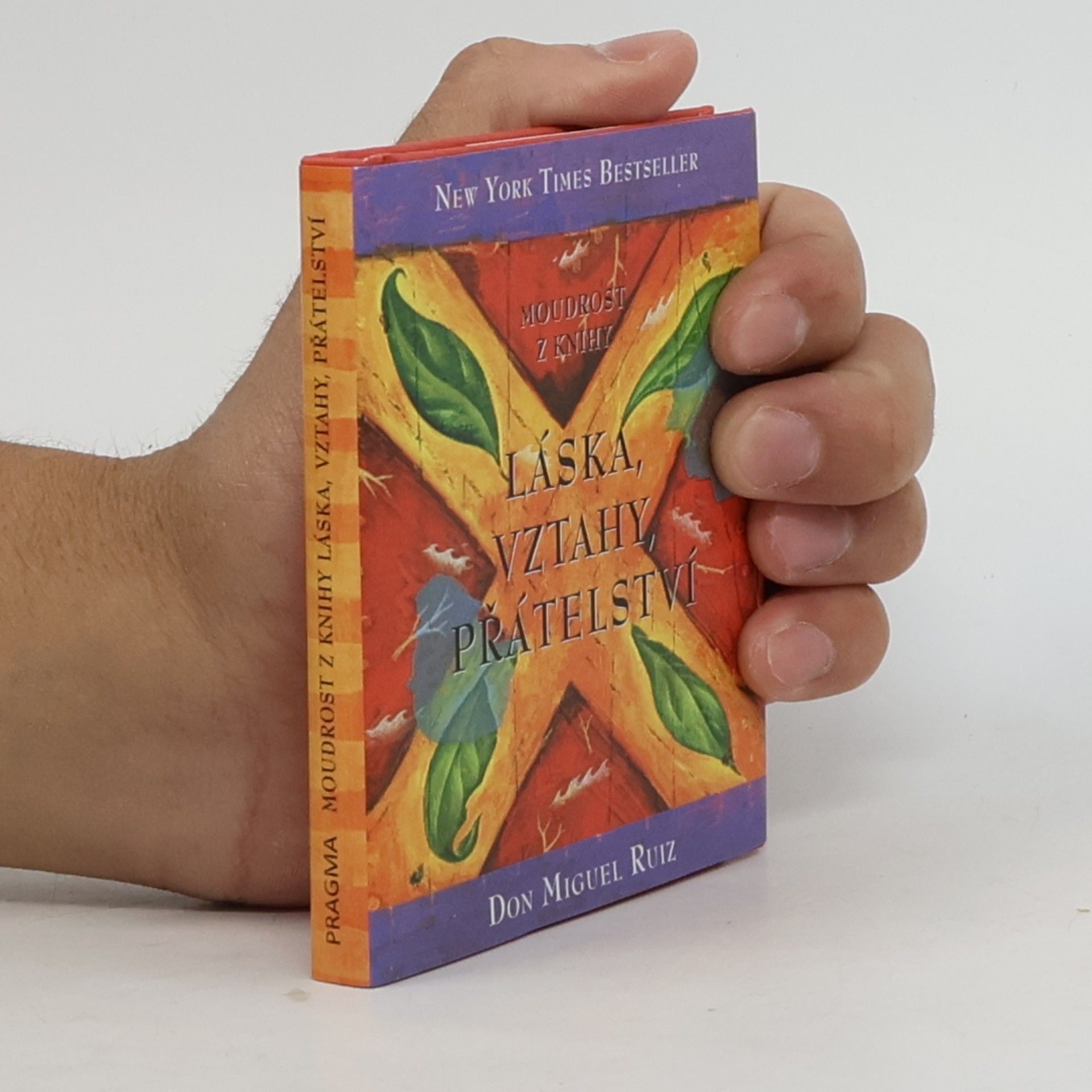 Don Miguel Ruiz Moudrost z knihy Láska, vztahy, přátelství