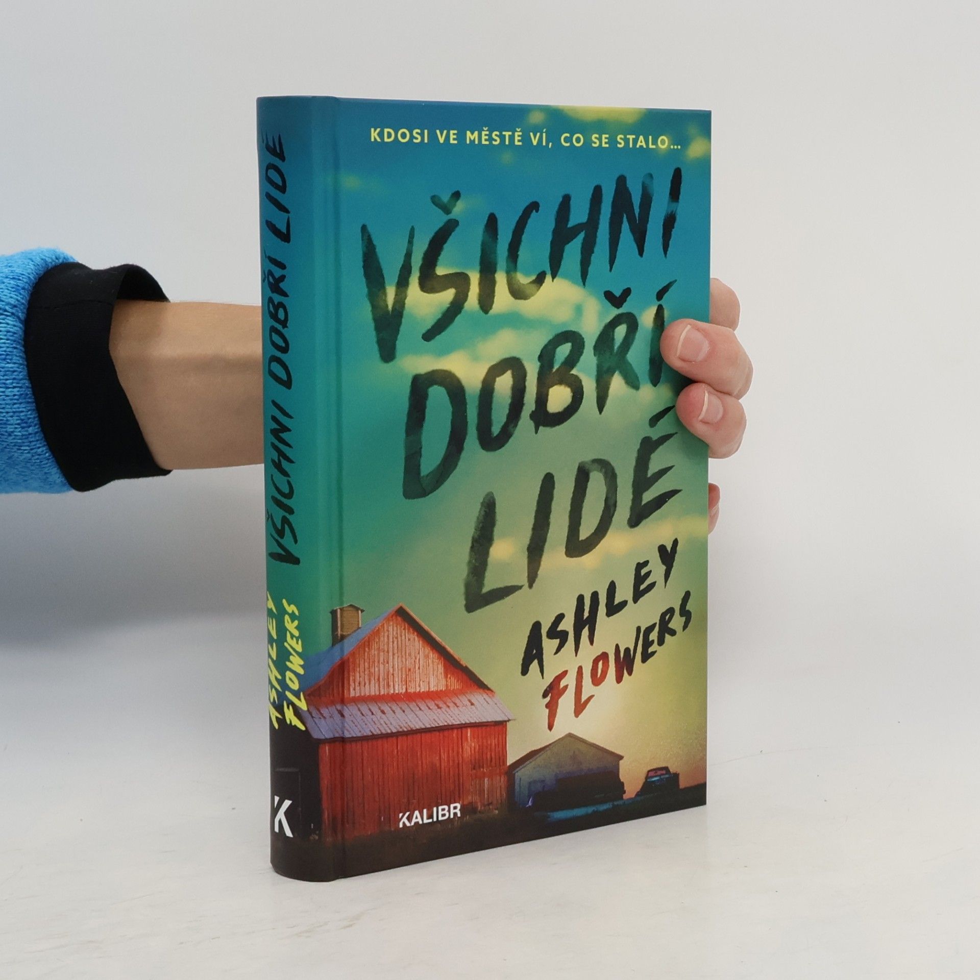 Ashley Flowers Všichni dobří lidé