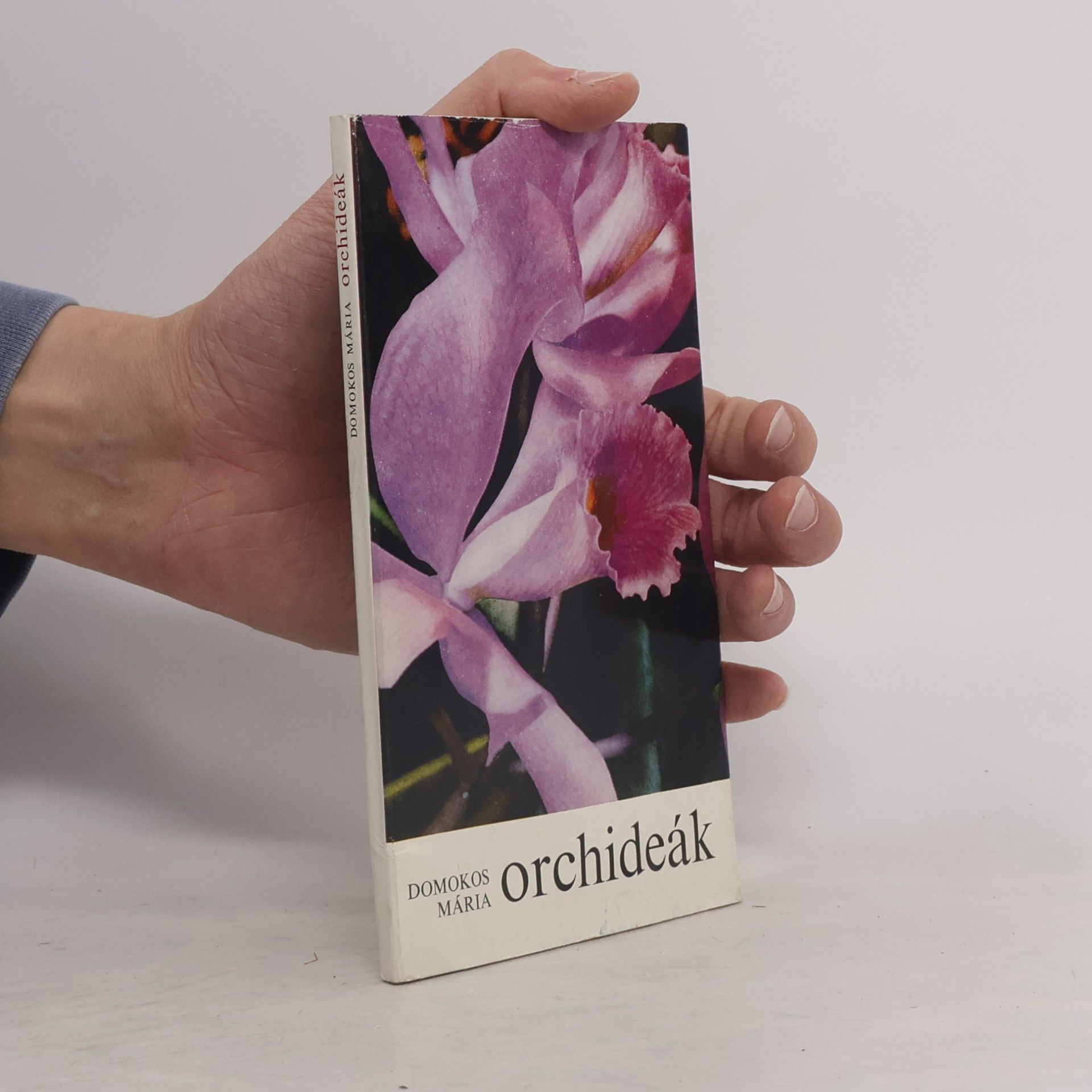 Orchideák