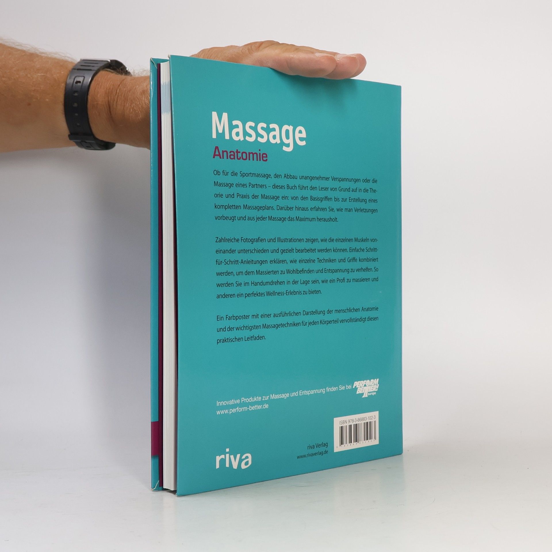 Abigail Ellsworth Massage-Anatomie