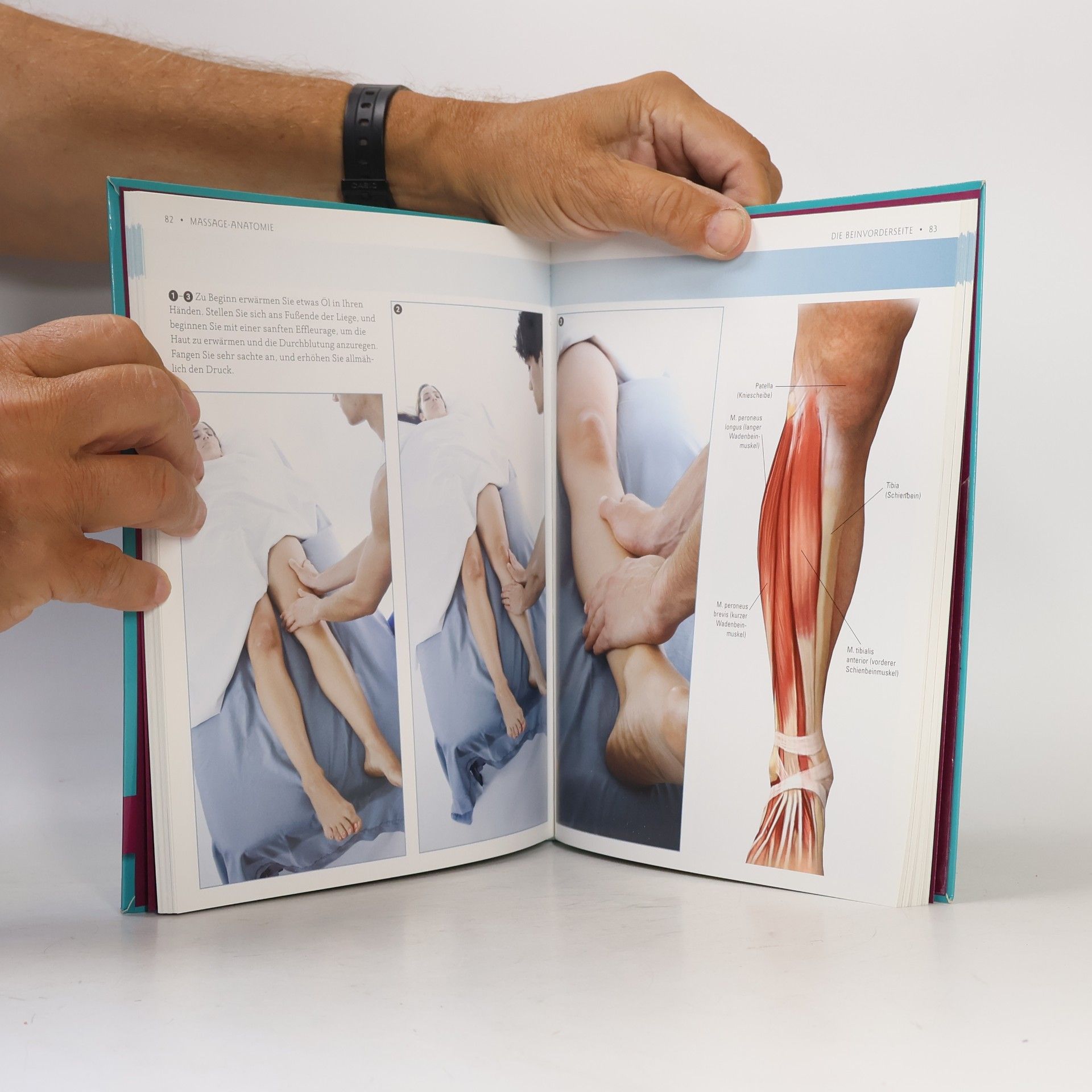 Abigail Ellsworth Massage-Anatomie