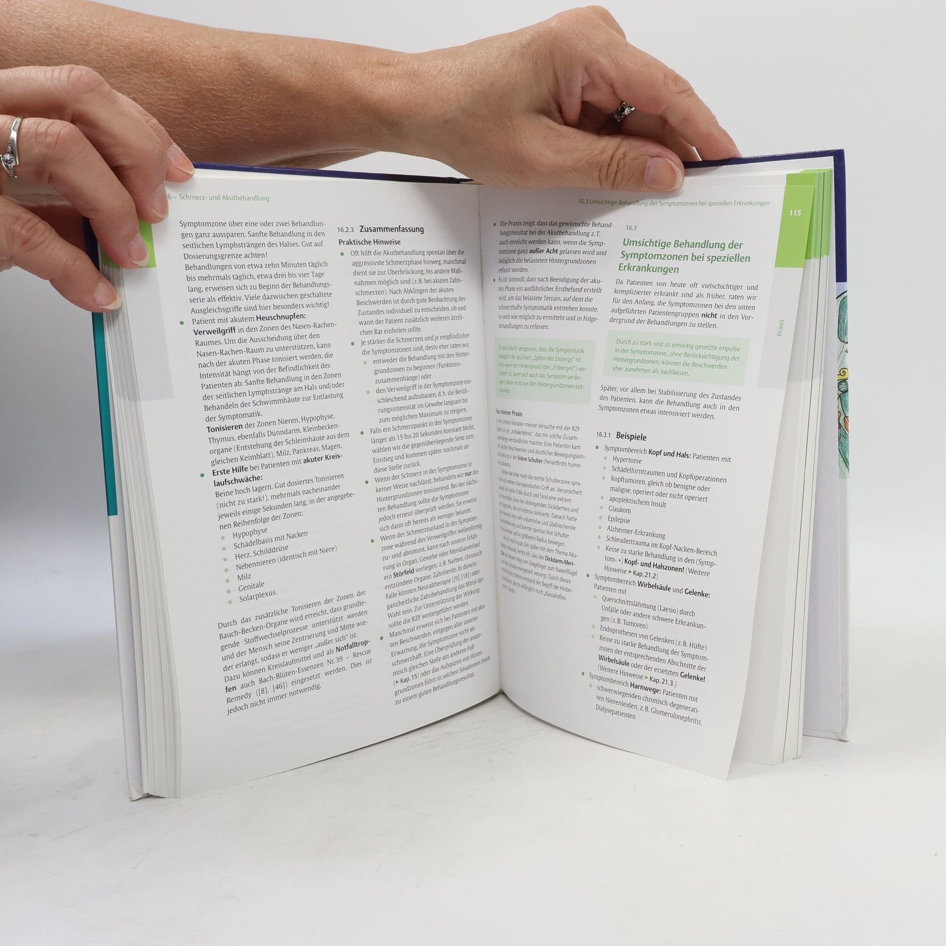 Hanne Marquardt Praktisches Lehrbuch der Reflexzonentherapie am Fuß
