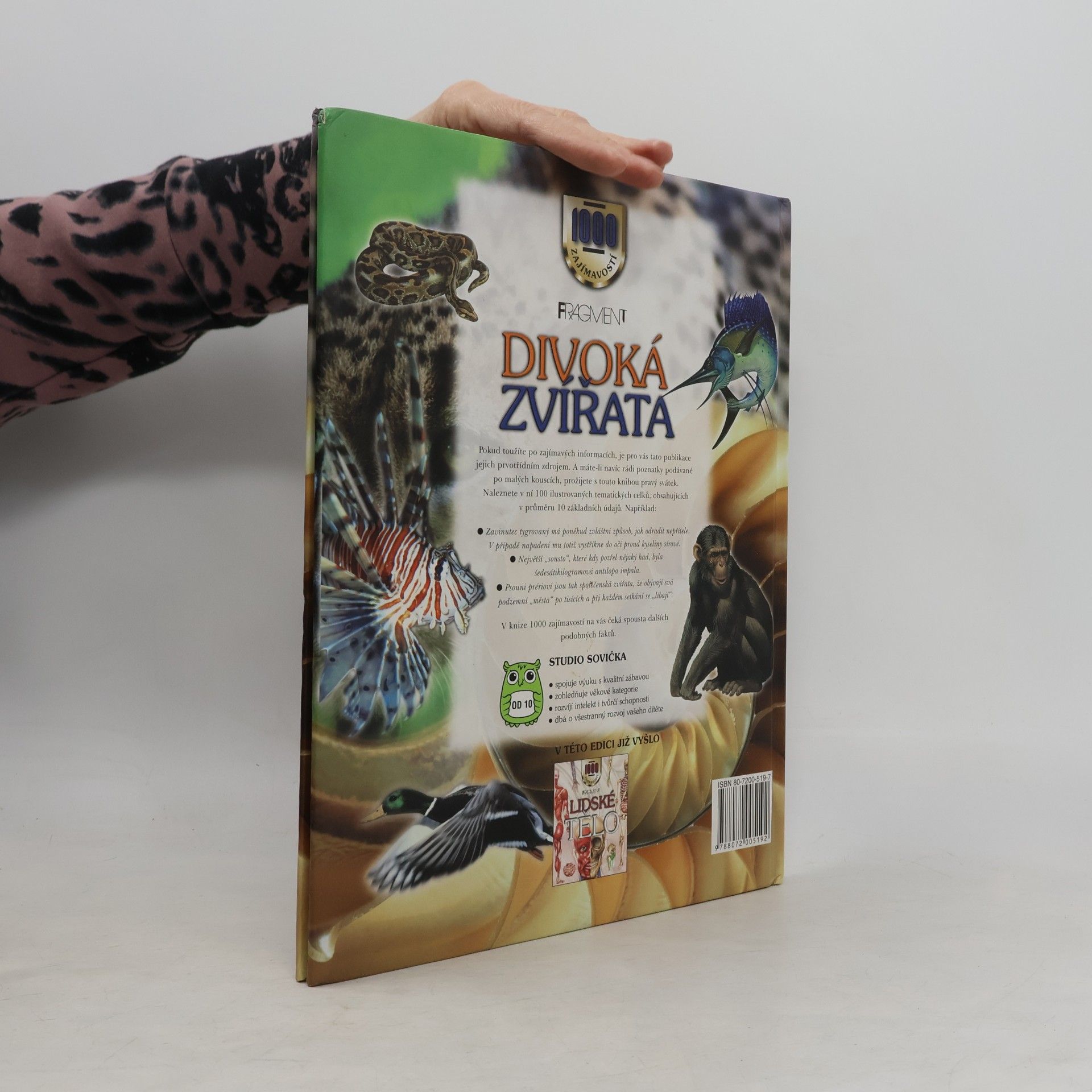 Kamila Šírová Motyčková Divoká zvířata