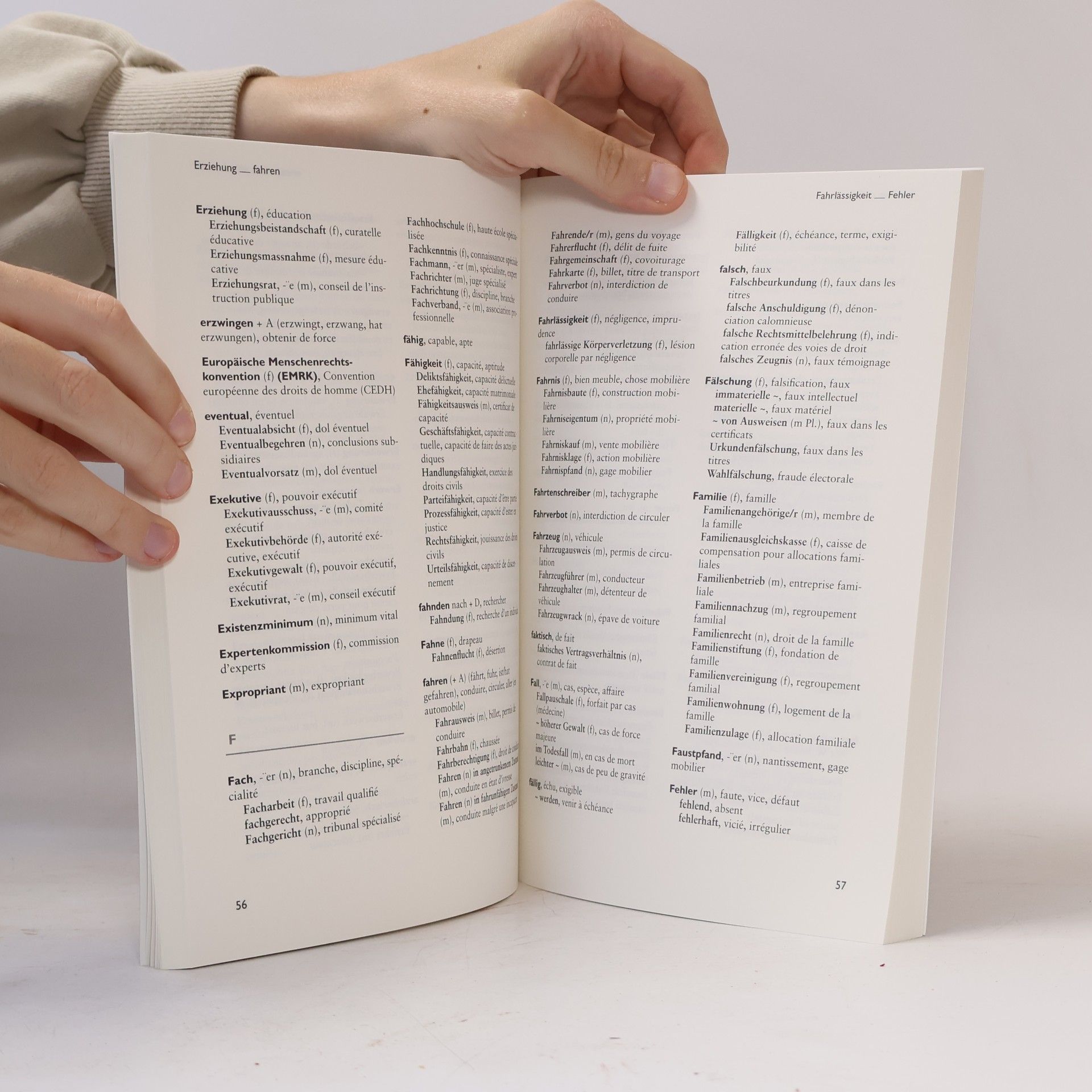 Piermarco Zen-Ruffinen Lexika und Wörterbücher, Rechtssprache - 10: Petit lexique juridique: allemand-français
