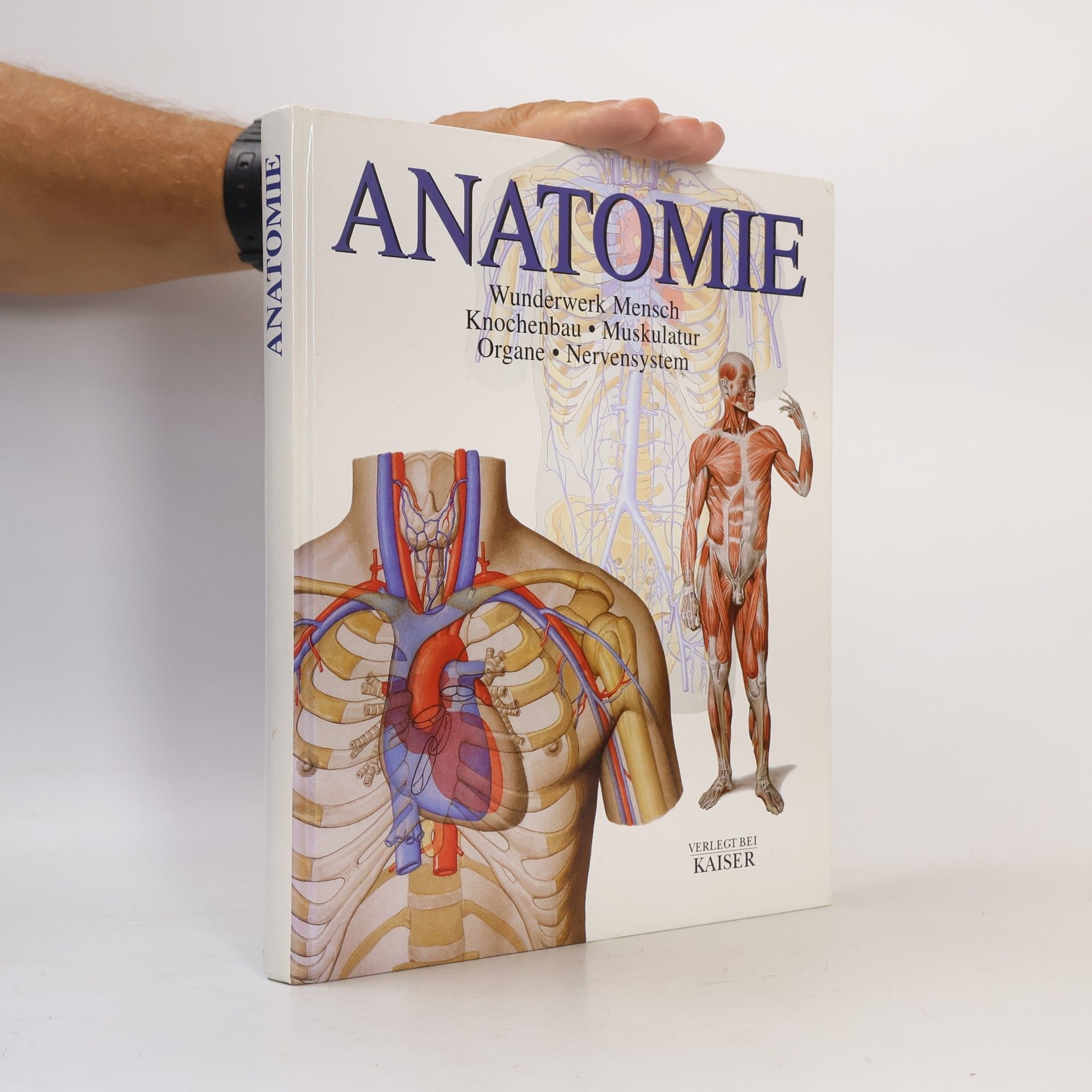 Carmen Schöninger Anatomie