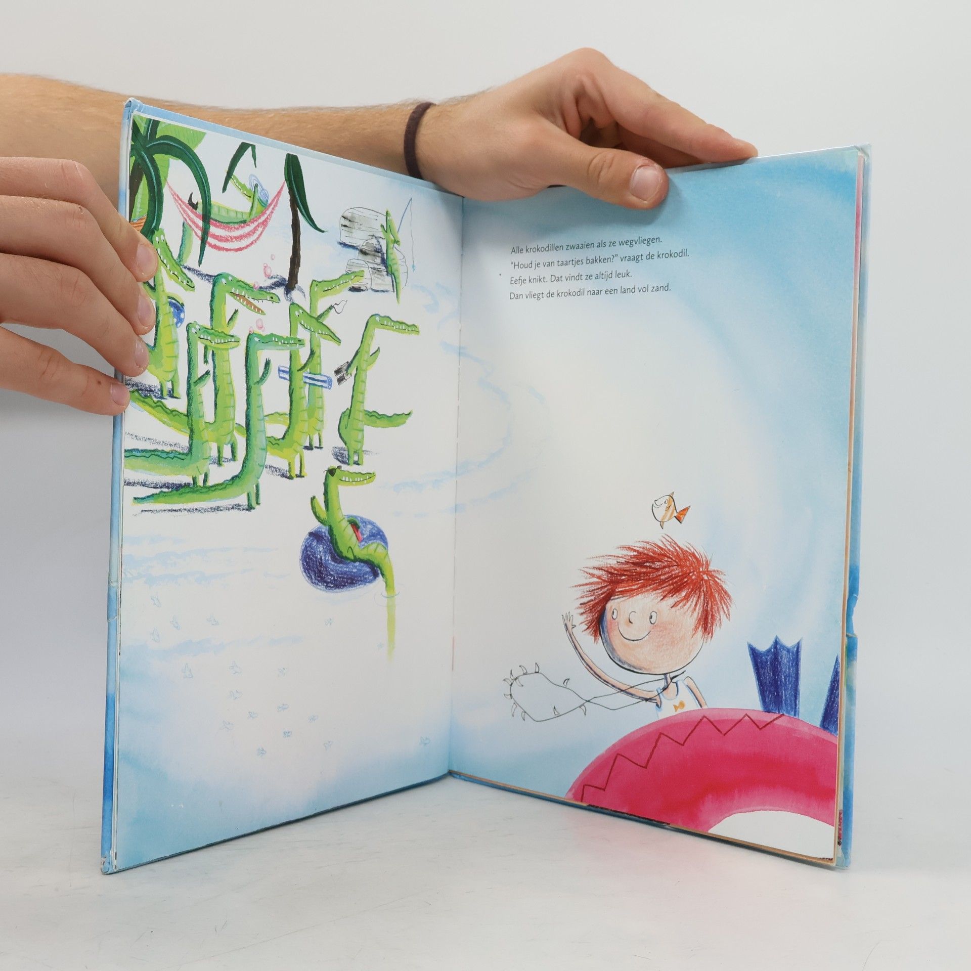 Marieke van Ditshuizen Een Vier Windstreken prentenboek: Mijn badje vliegt