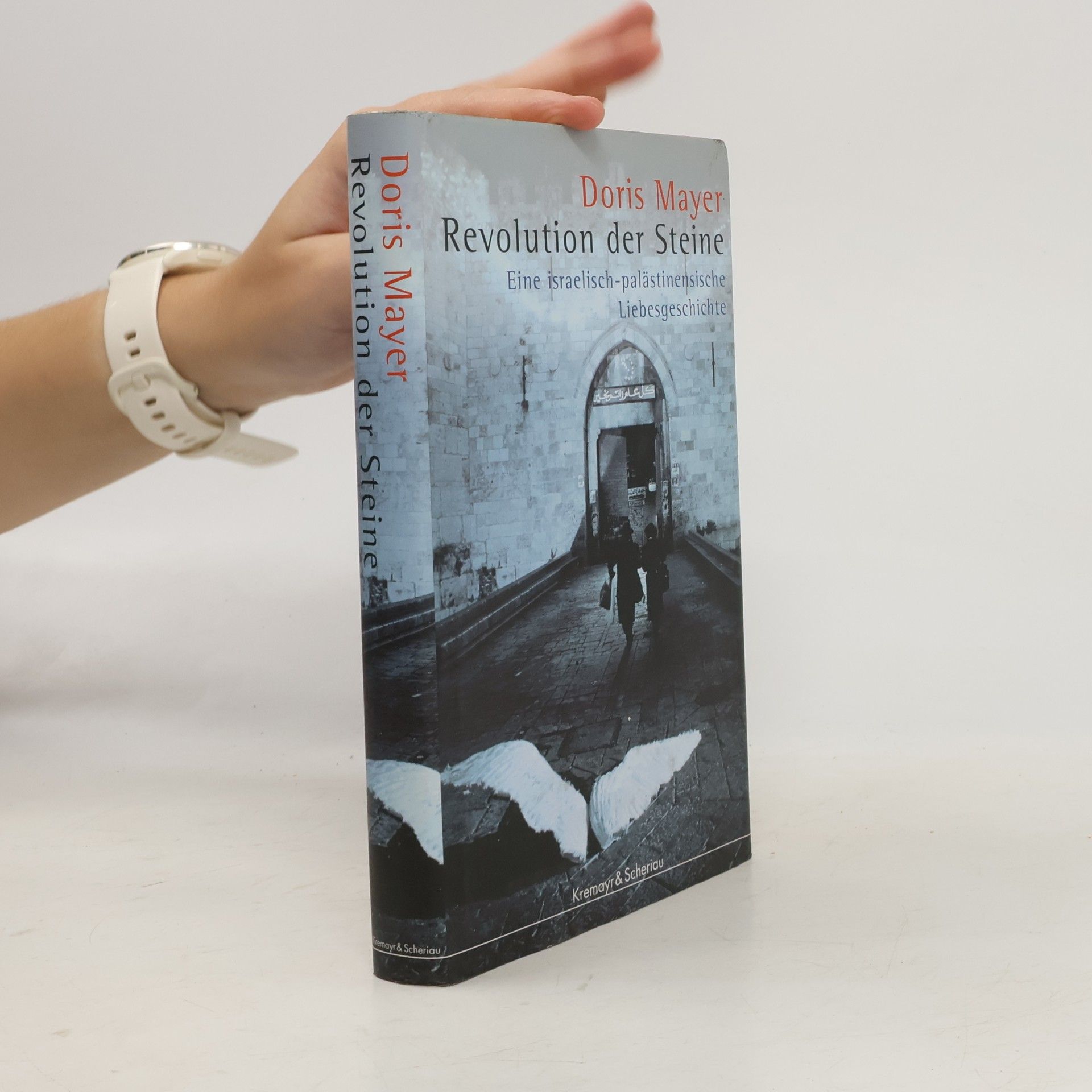 Doris Mayer Revolution der Steine