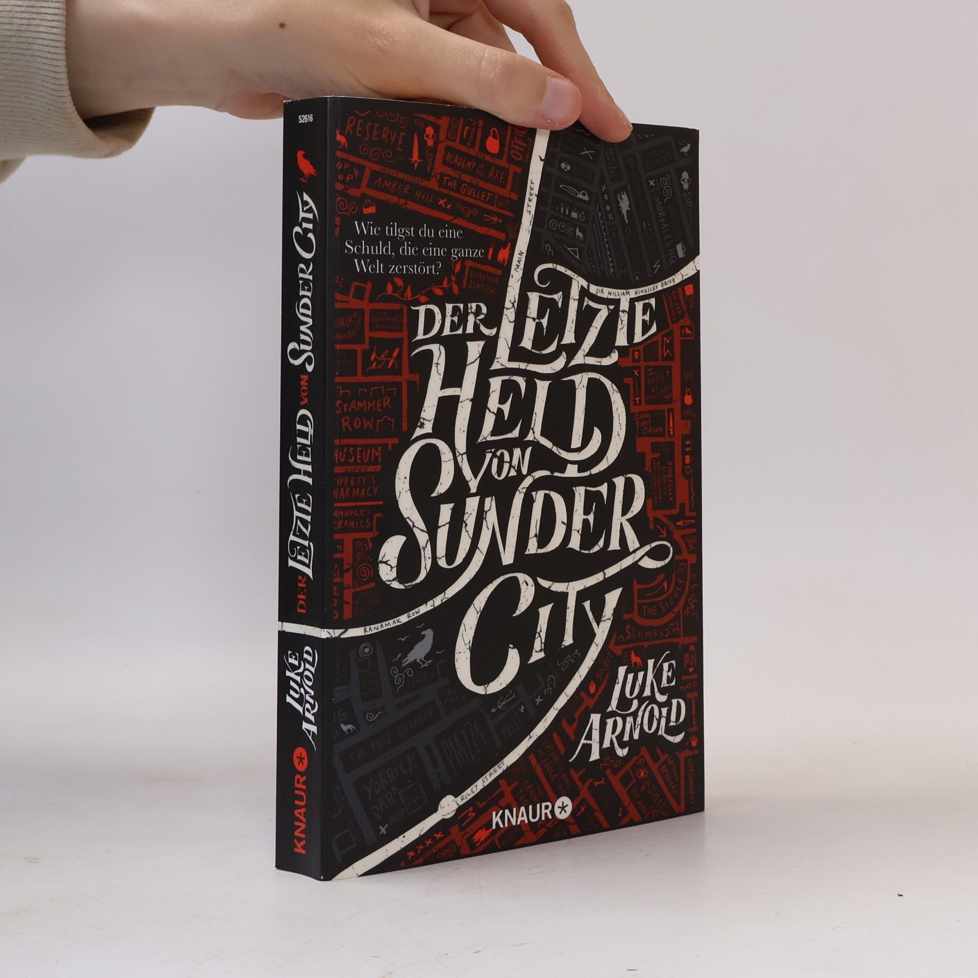 Luke Arnold Der letzte Held von Sunder City