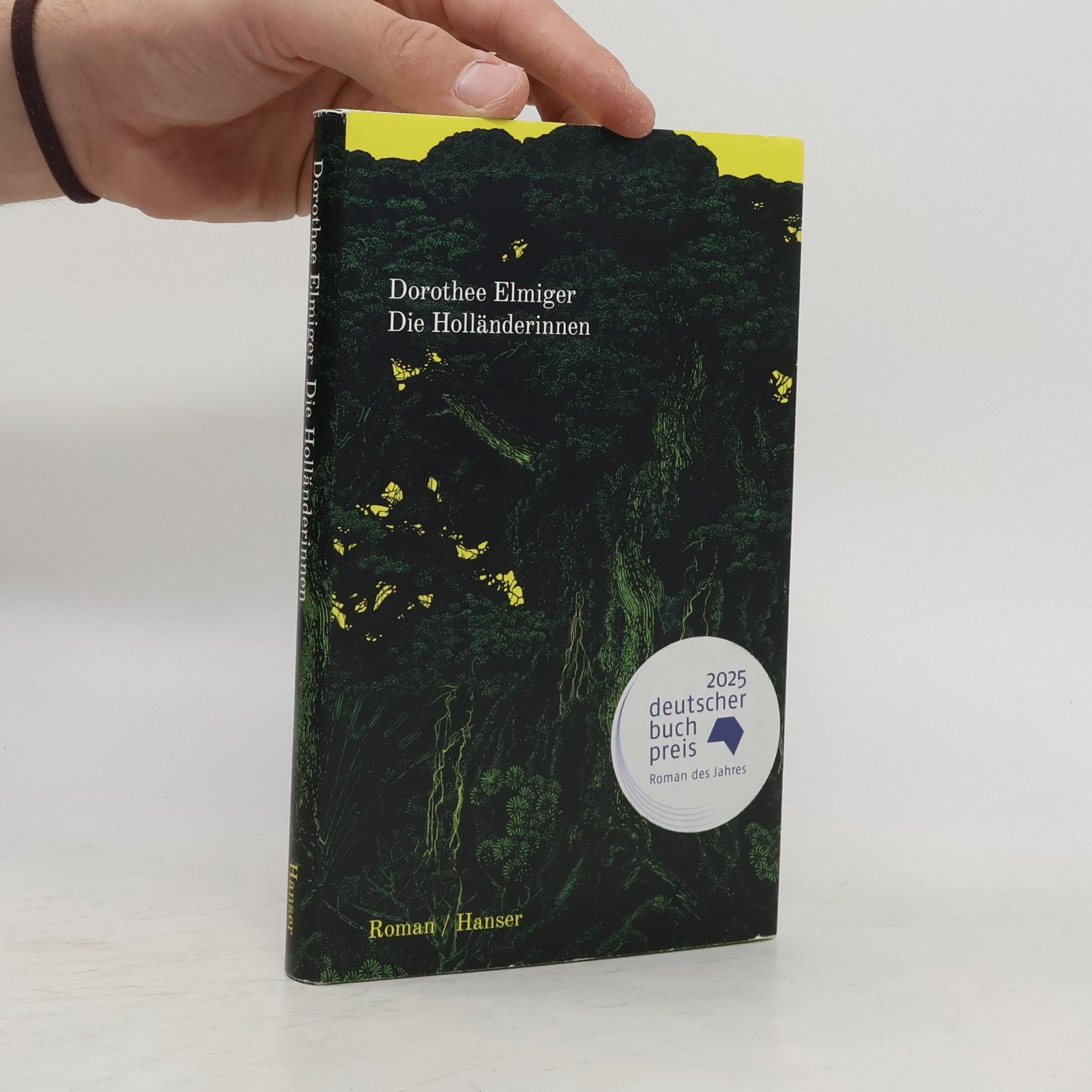 Dorothee Elmiger Die Holländerinnen