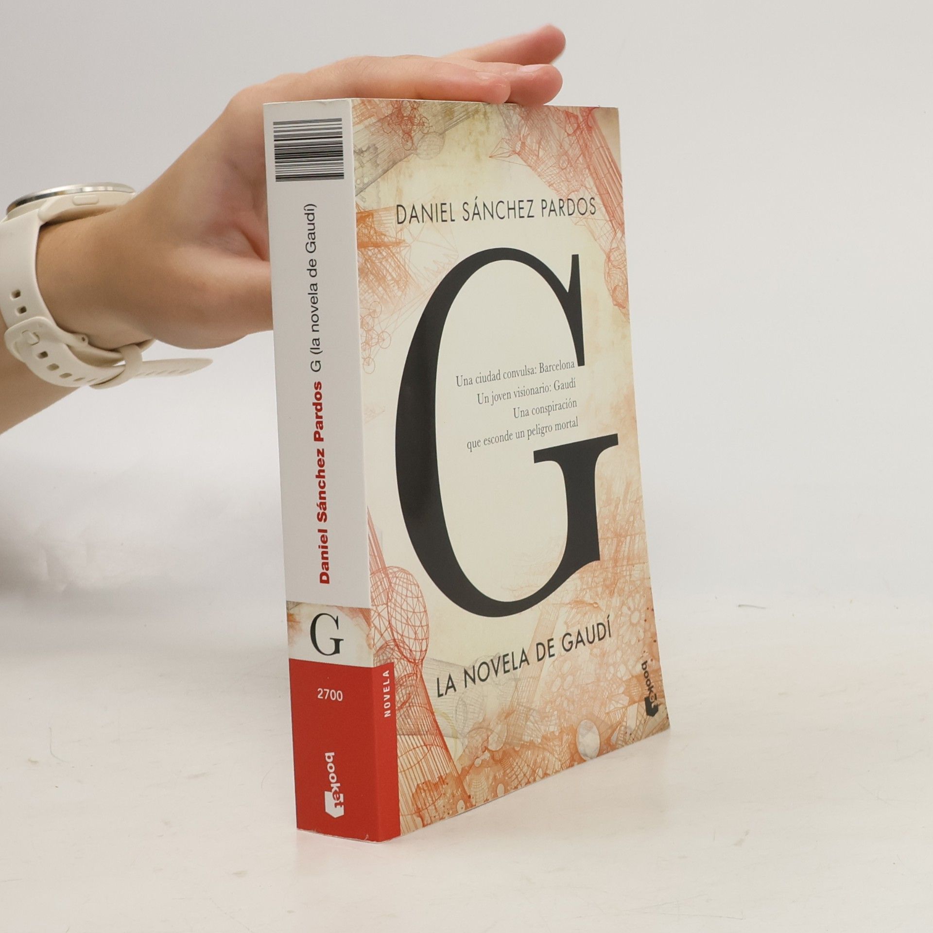 Daniel Sánchez Pardos G (La novela de Gaudí)
