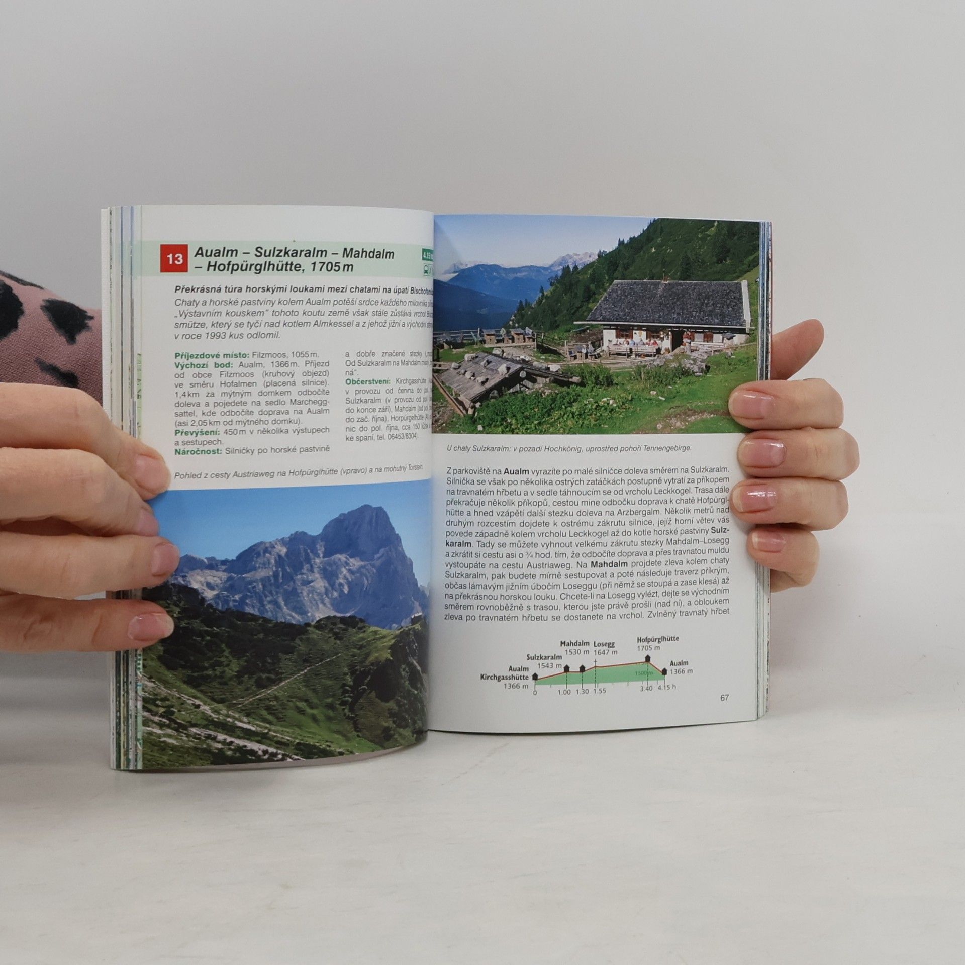 Sepp Brandl Dachstein - Turistický průvodce Rother